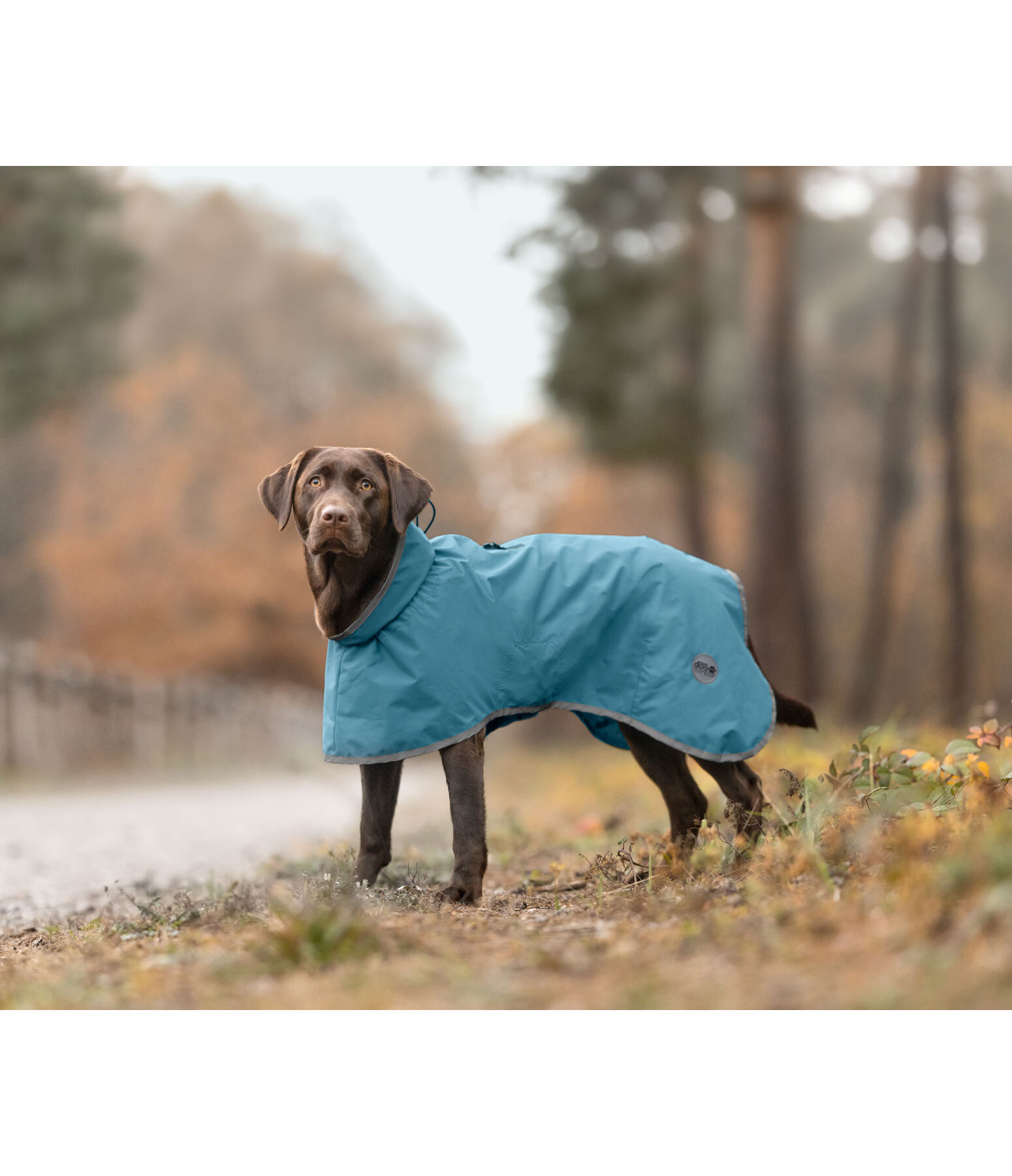 Hunde-Regenmantel Winter Islands, 150 g