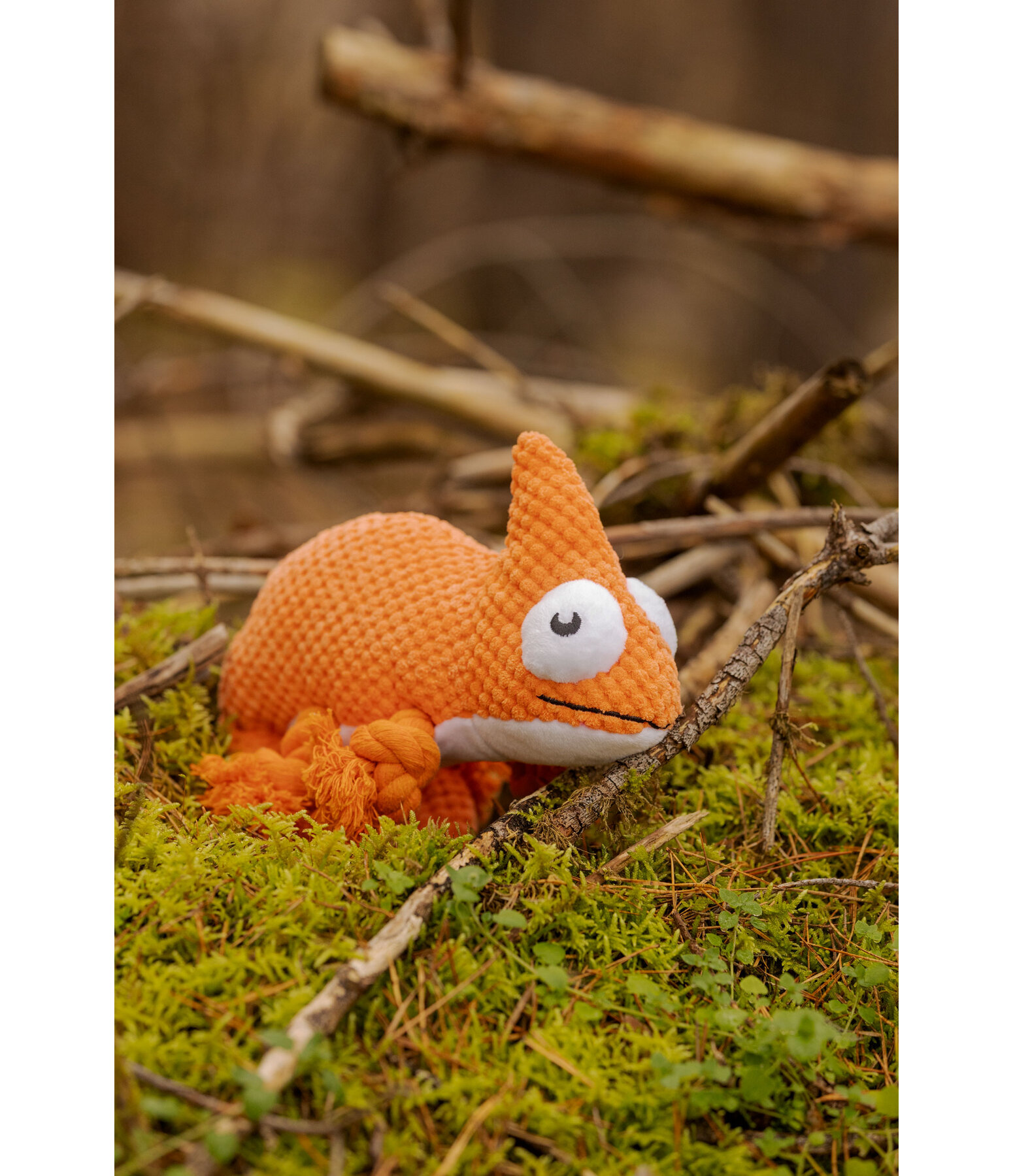 Hundespielzeug Chameleon