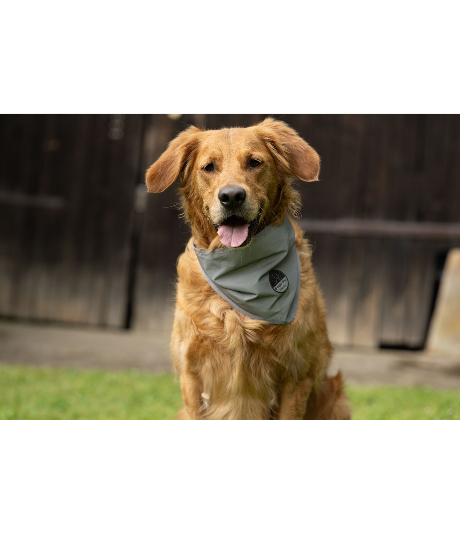 Reflex Halstuch f�r Hunde