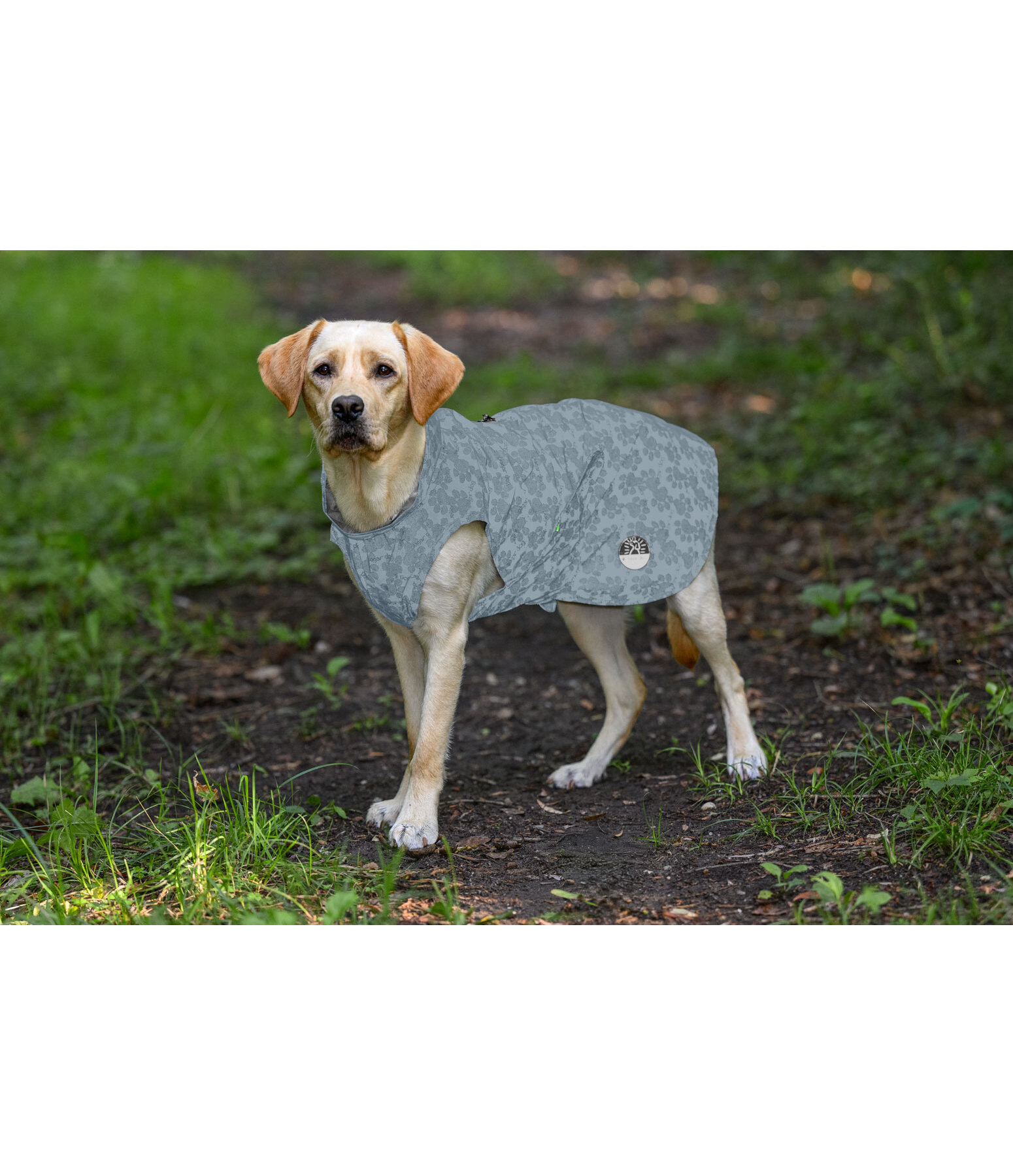 reflektierender Regenmantel f�r Hunde To Go