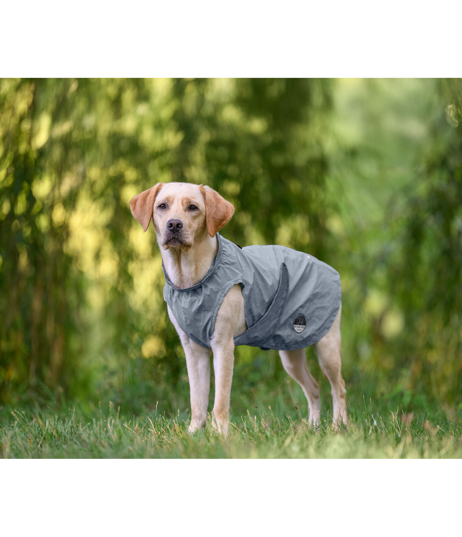 reflektierender Regenmantel f�r Hunde To Go