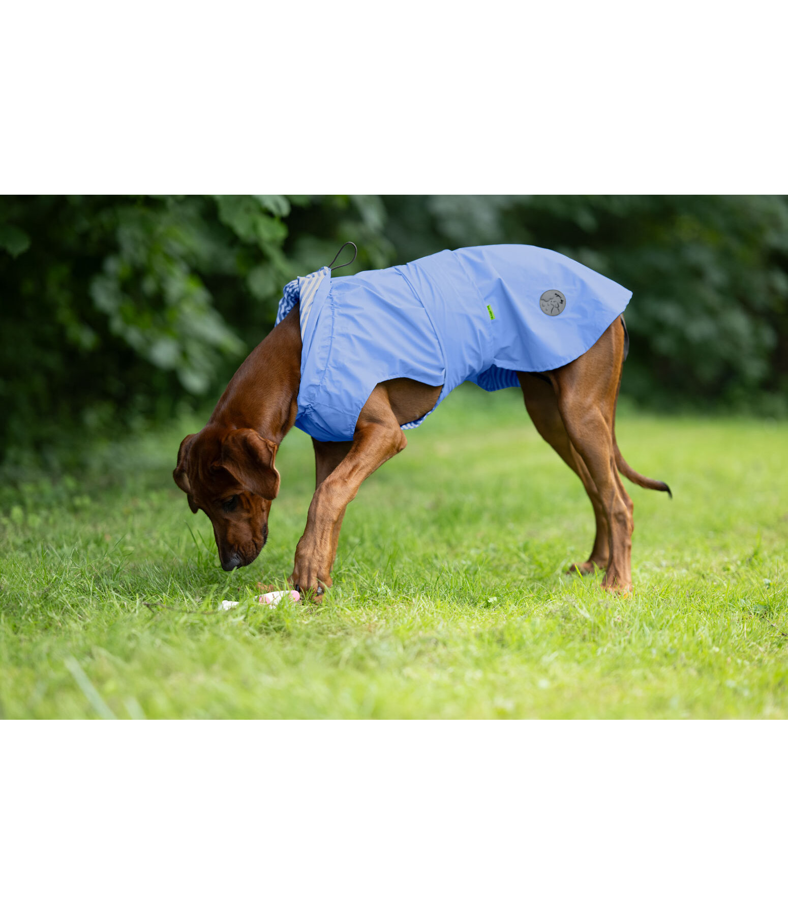Hunde-Regenmantel Emmi, 0 g