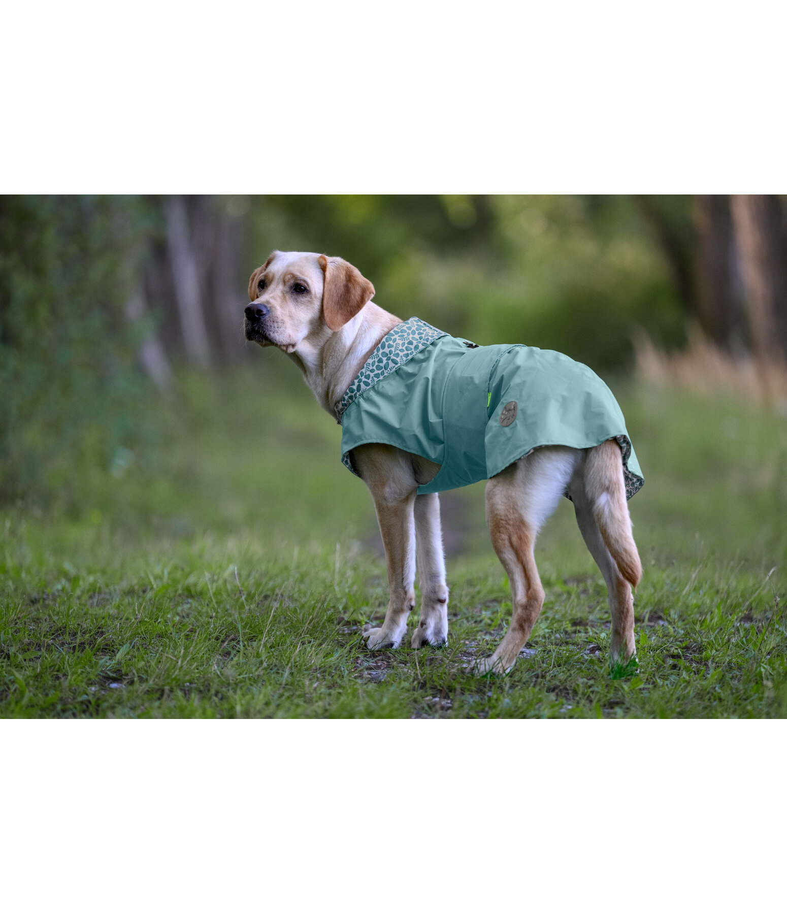 Hunde-Regenmantel Emmi, 0 g