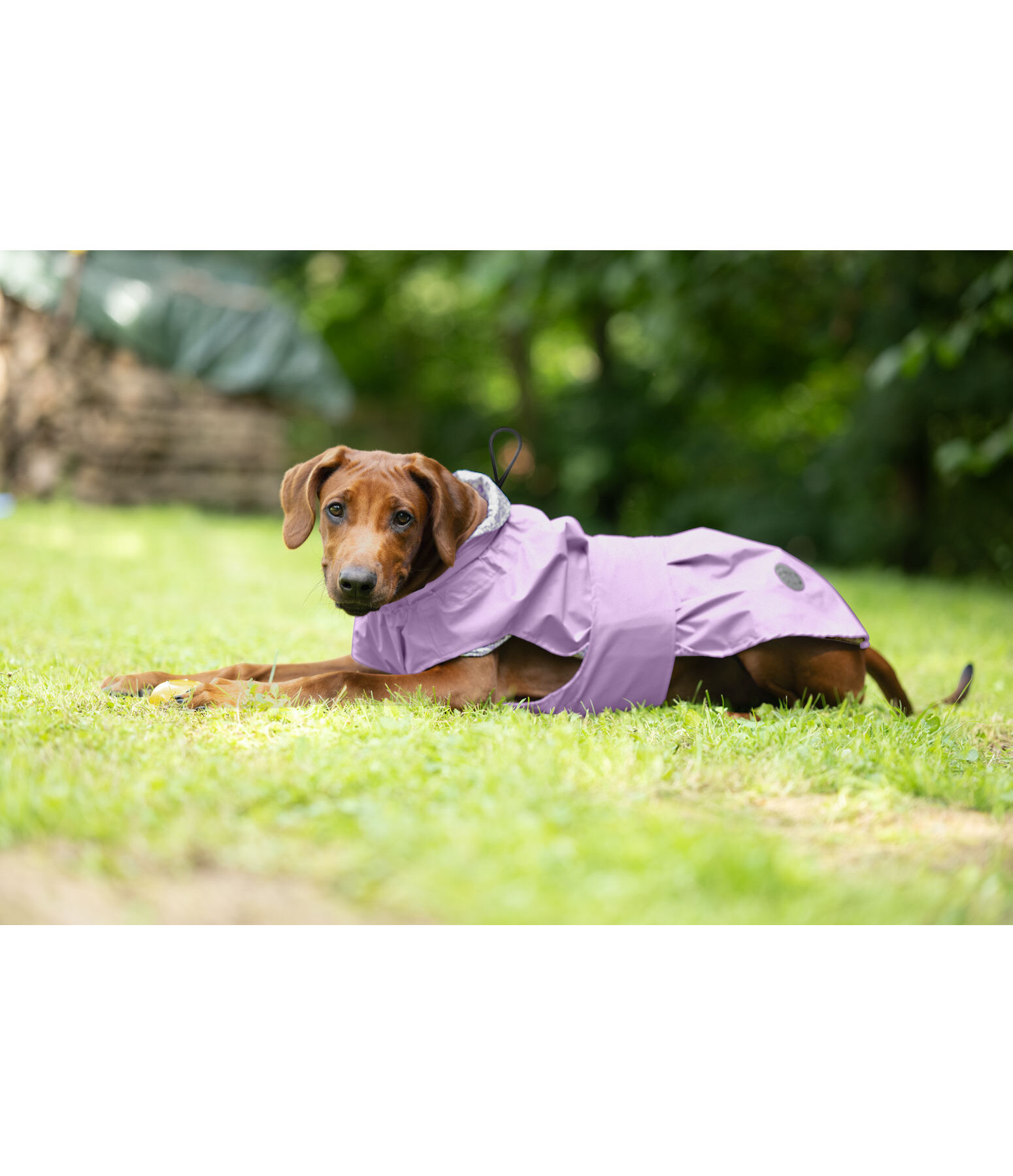 Hunde-Regenmantel Emmi, 0 g