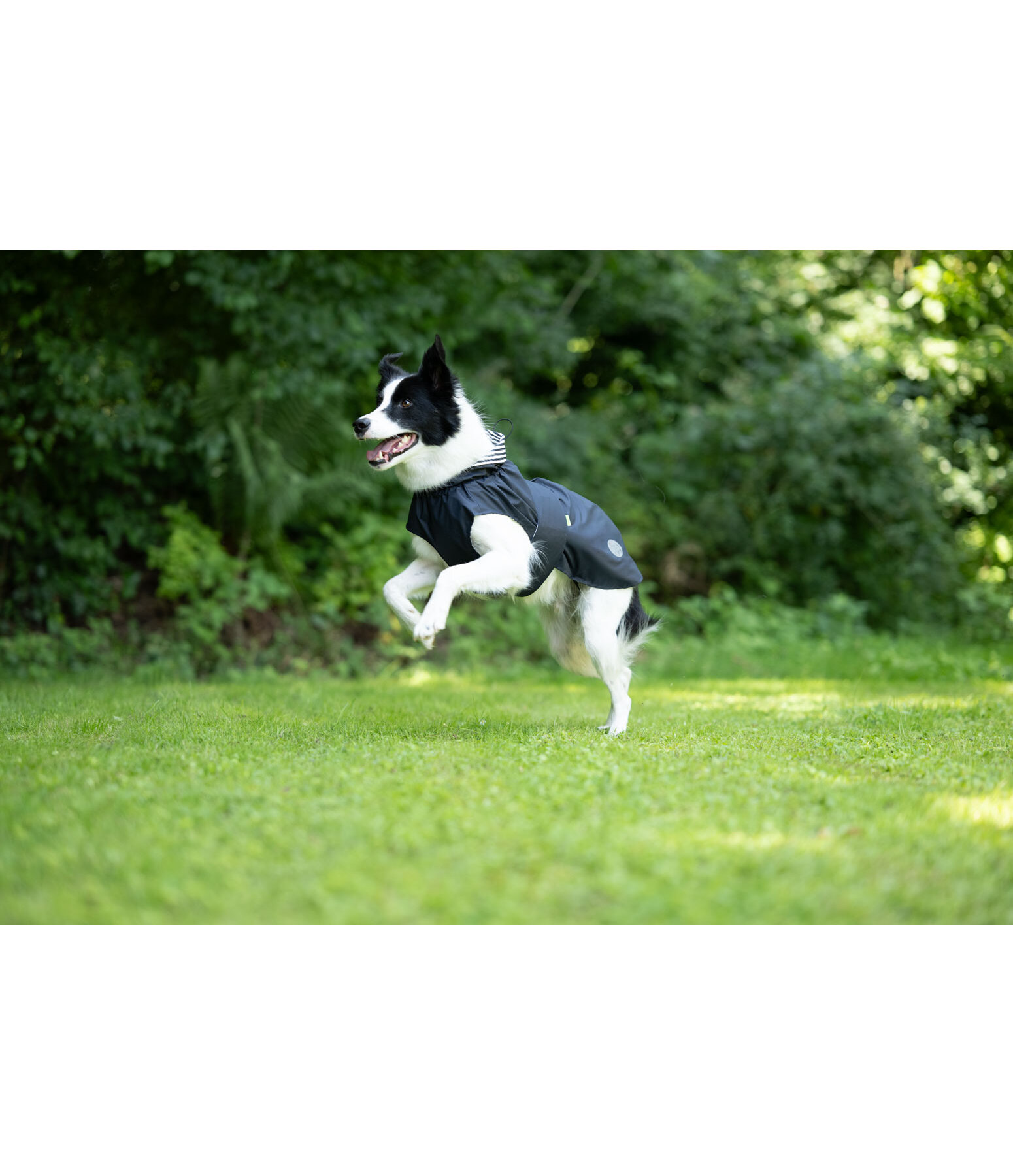 Hunde-Regenmantel Emmi, 0 g