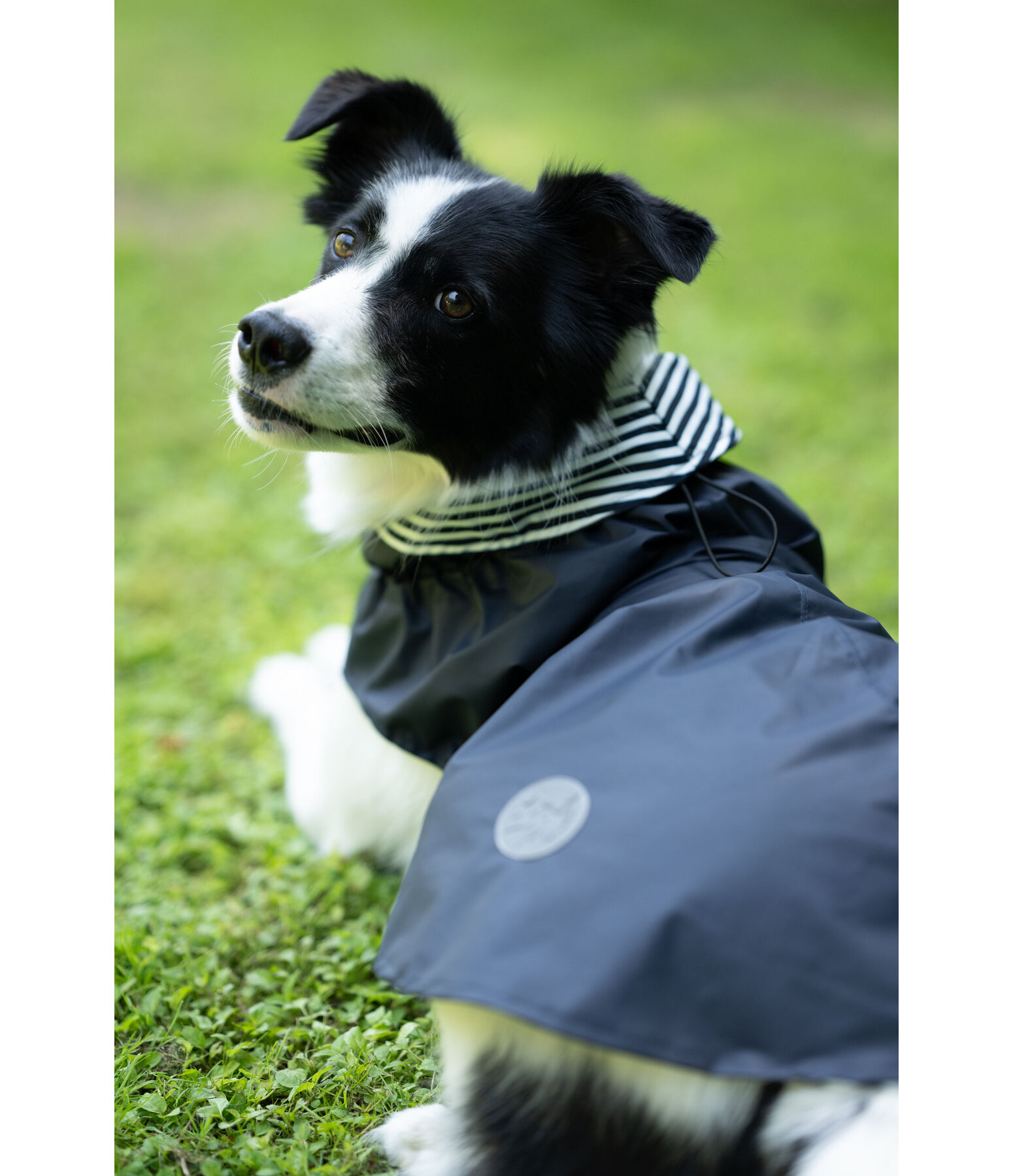 Hunde-Regenmantel Emmi, 0 g