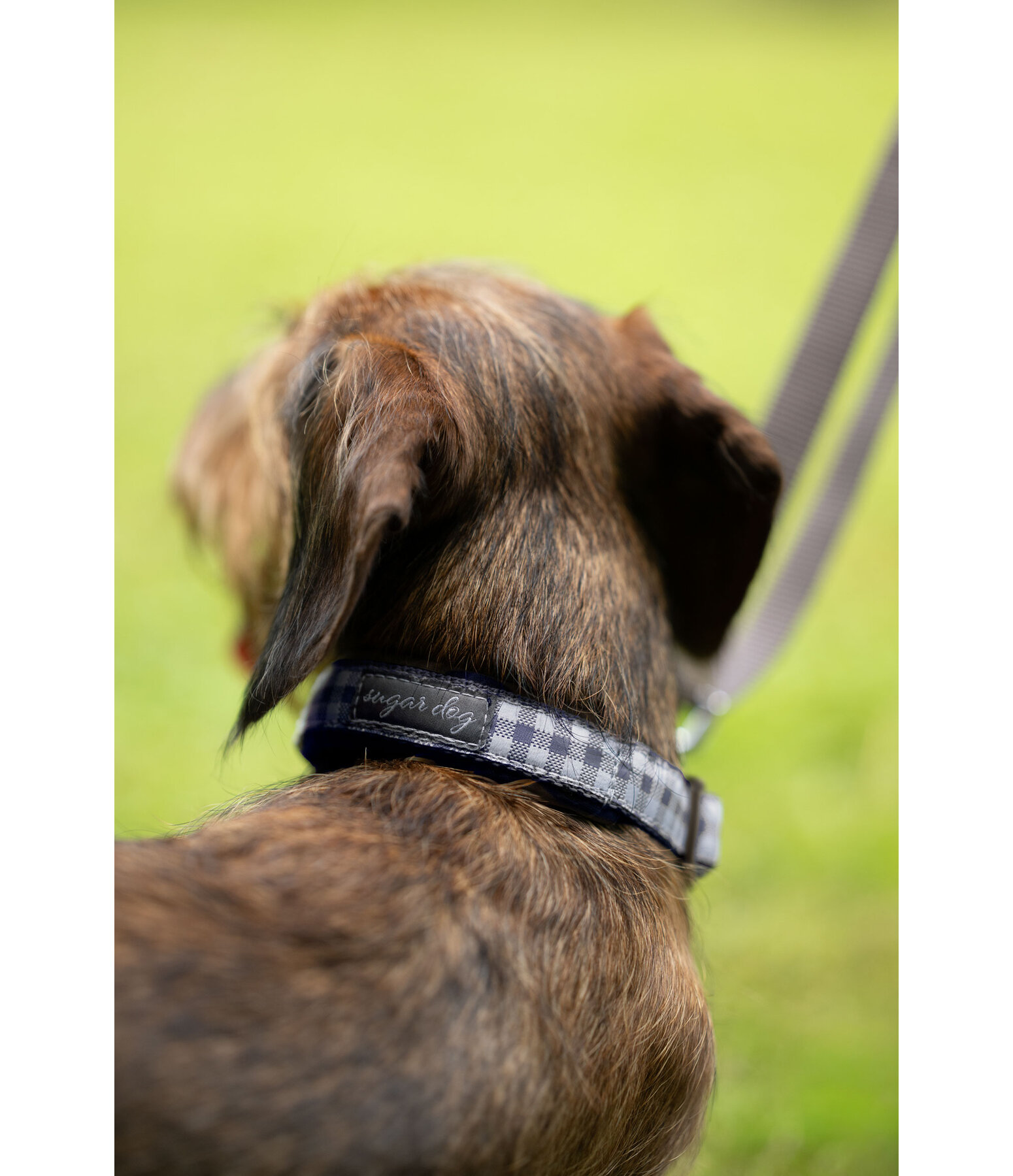 Halsband Squares