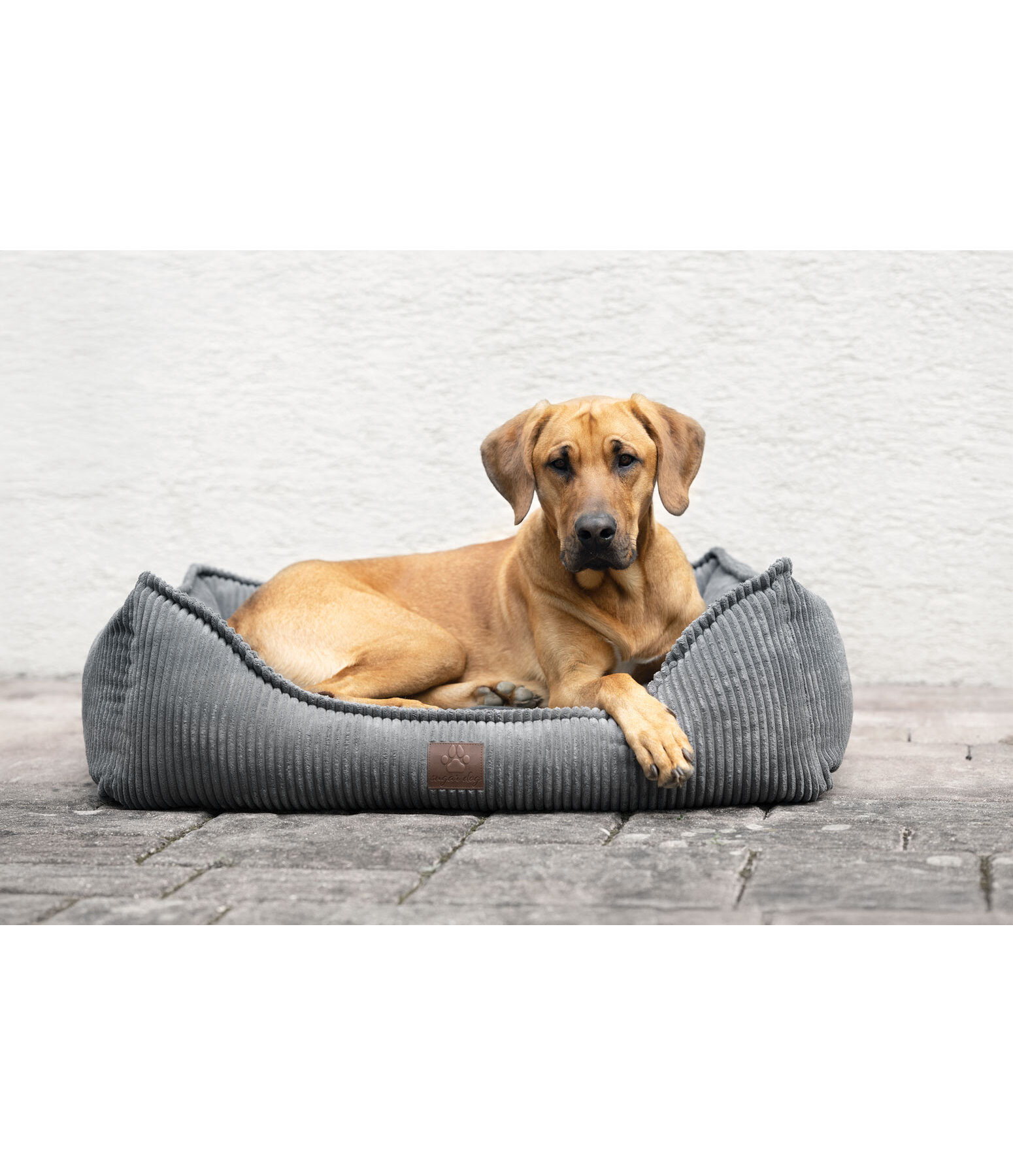 Hundebett Cord