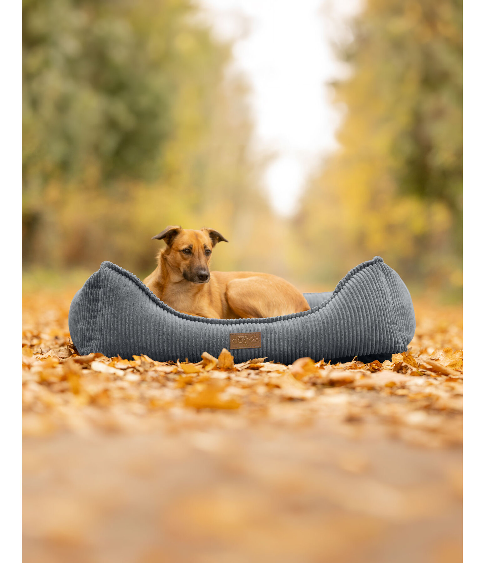 Hundebett Cord