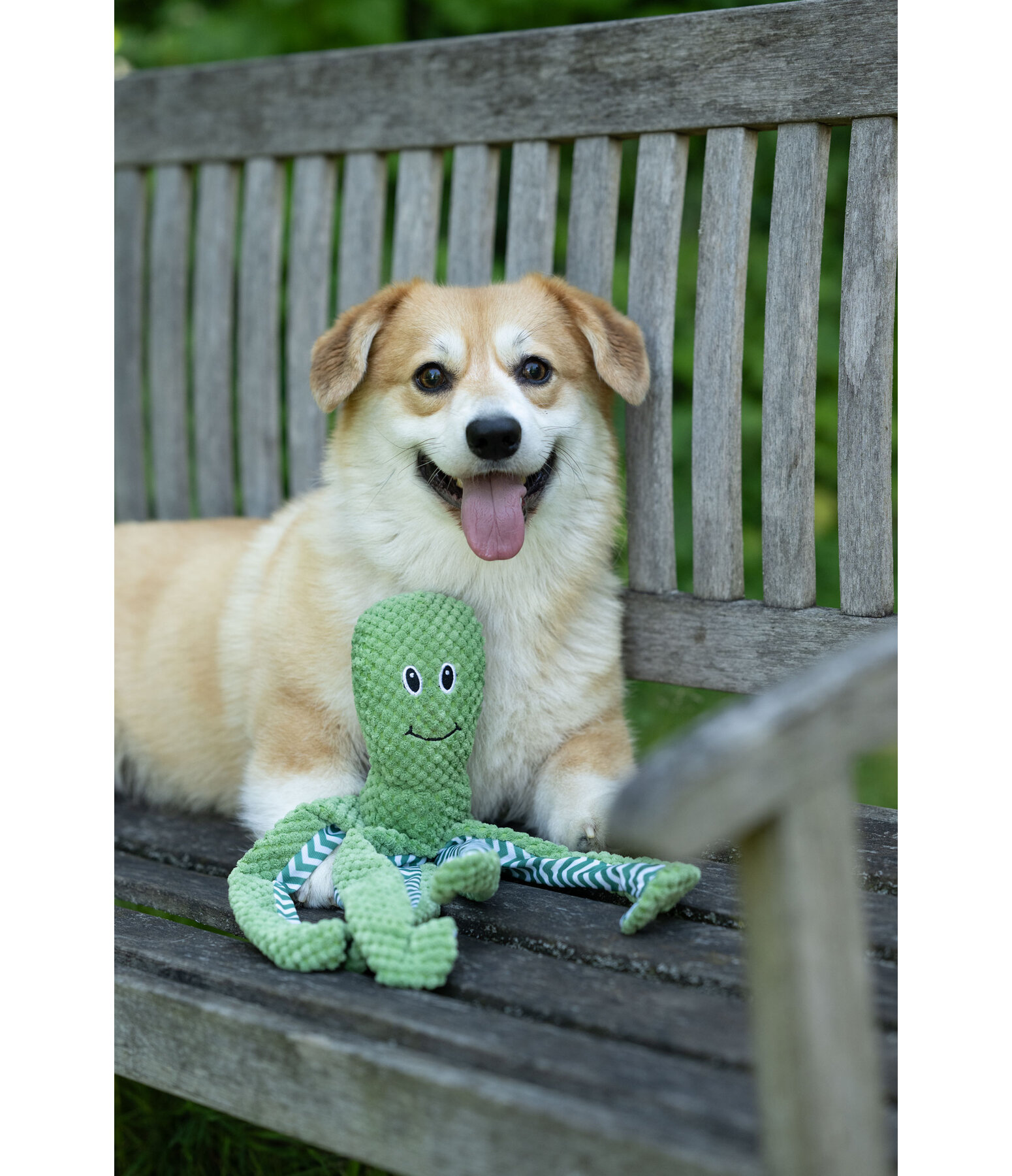 Hundespielzeug Octopus