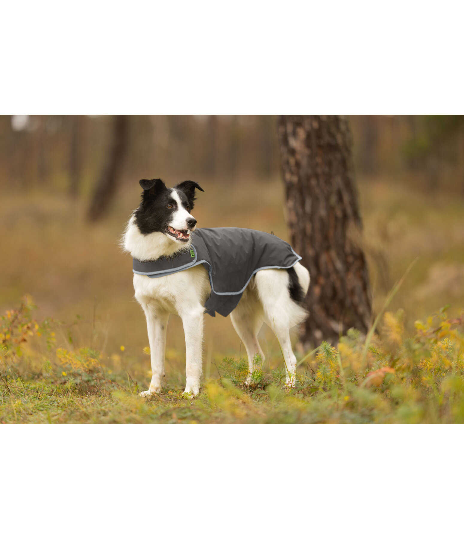 Hundemantel Side Closure, 50 g