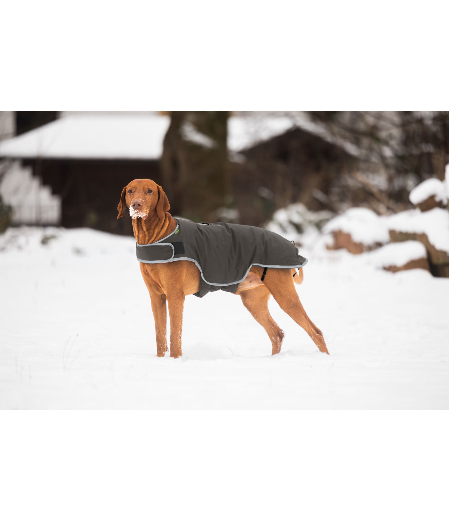 Hundemantel Side Closure, 50 g