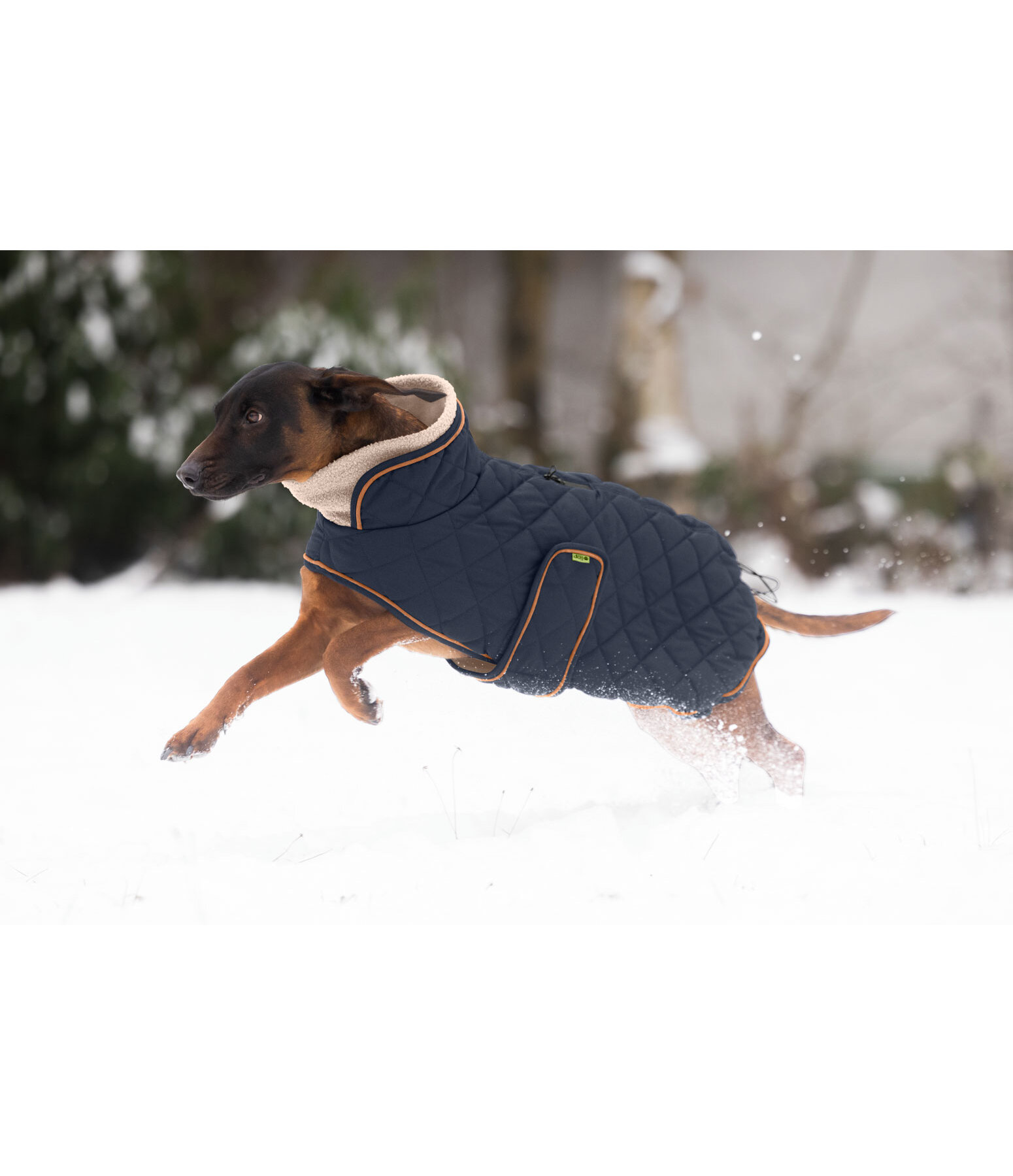 Stepp-Hundemantel mit Teddyfleece-F�tterung Holly