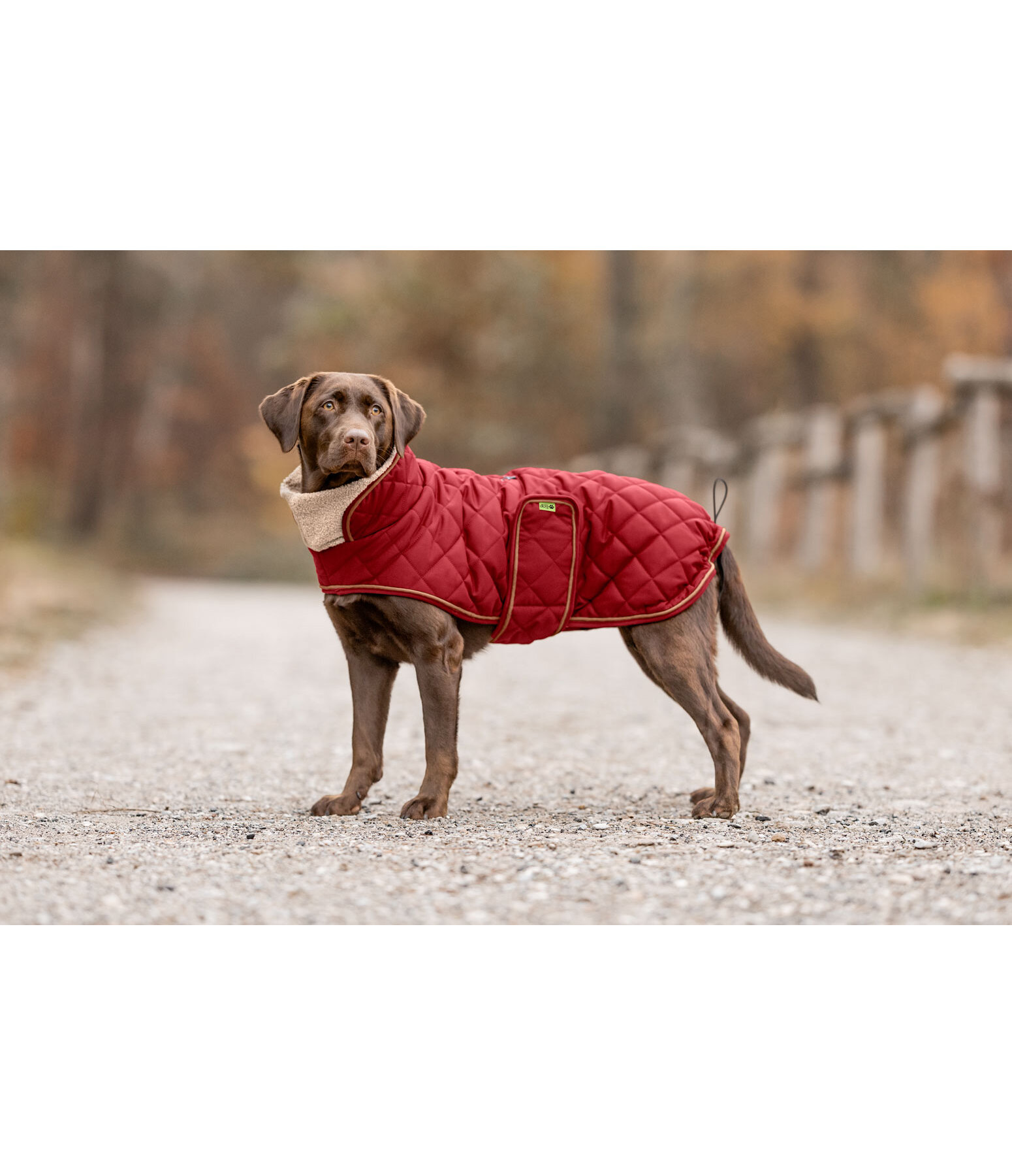 Stepp-Hundemantel mit Teddyfleece-F�tterung Holly