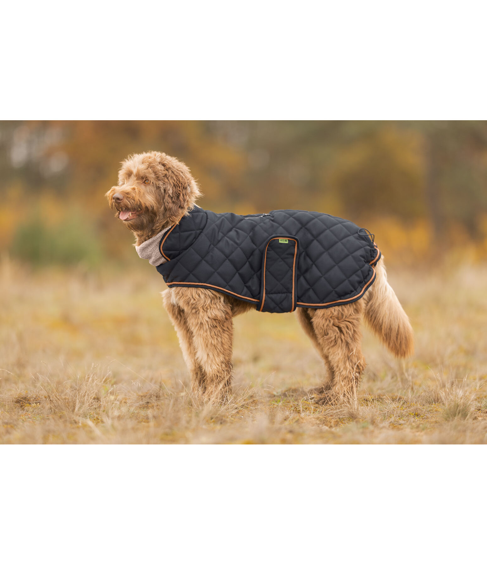 Stepp-Hundemantel mit Teddyfleece-F�tterung Holly