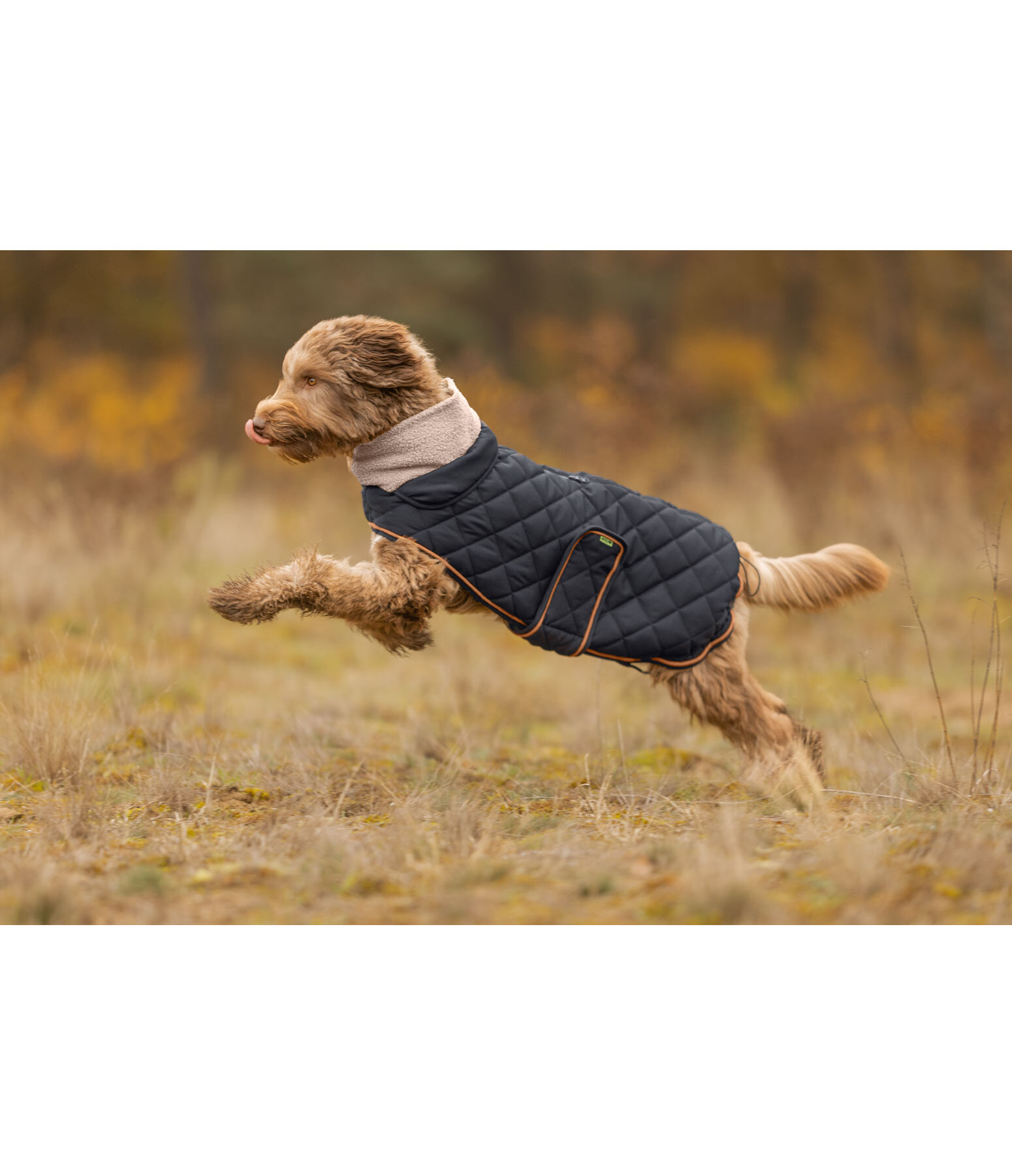 Stepp-Hundemantel mit Teddyfleece-F�tterung Holly