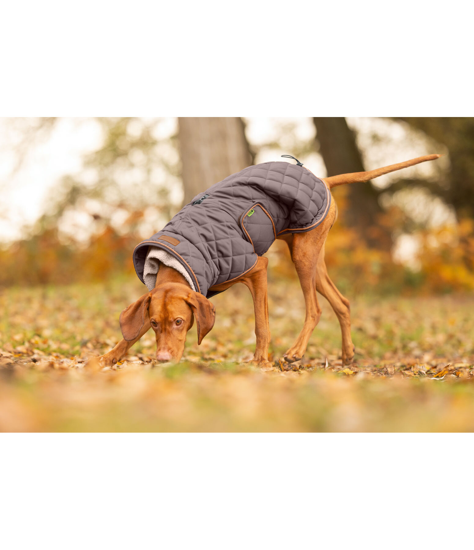Stepp-Hundemantel mit Teddyfleece-F�tterung Holly