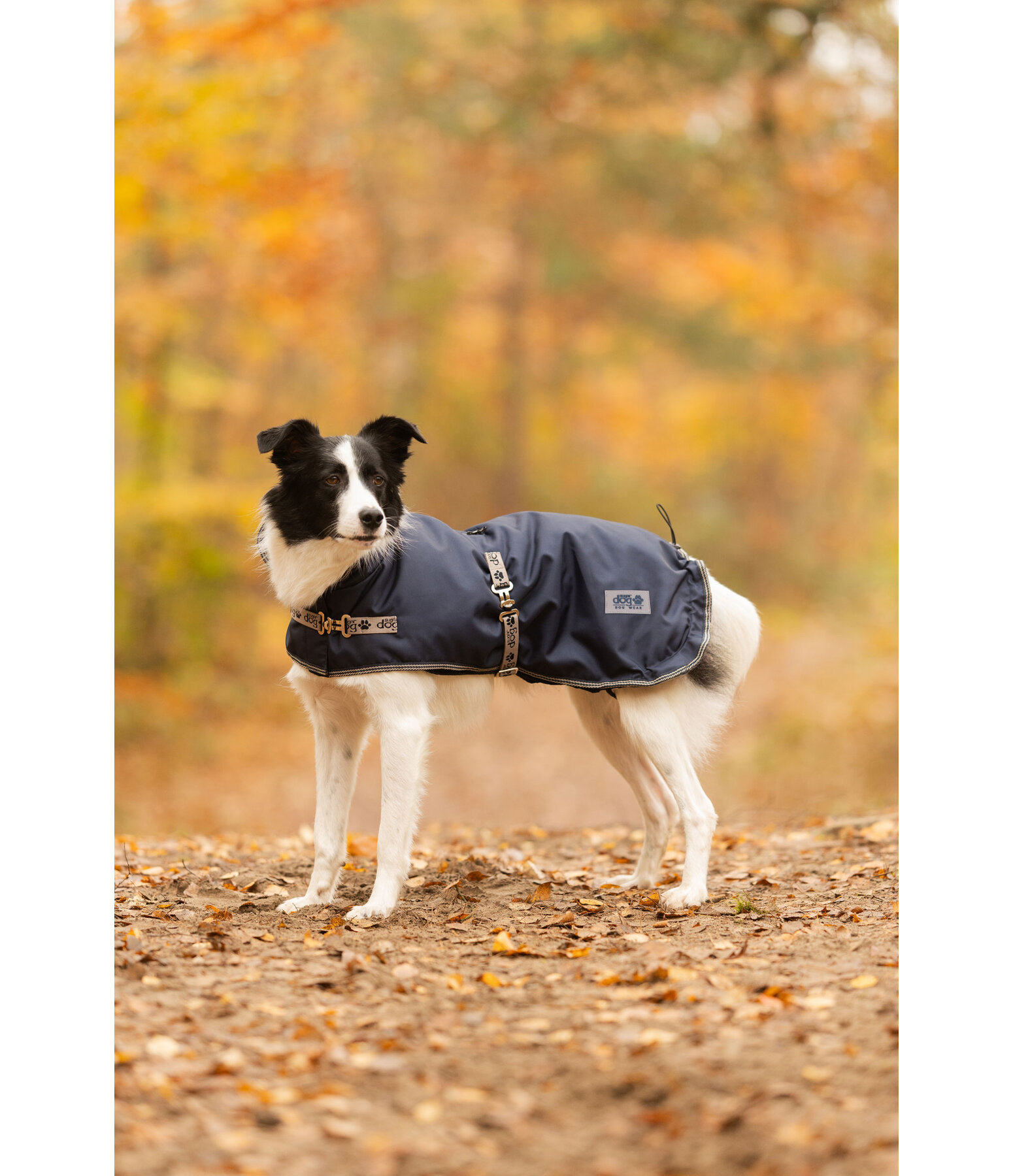 Hundemantel mit Liner-System Northwood, 60 - 220 g