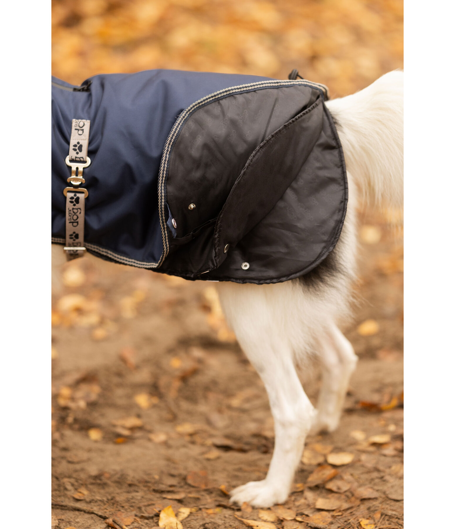 Hundemantel mit Liner-System Northwood, 60 - 220 g