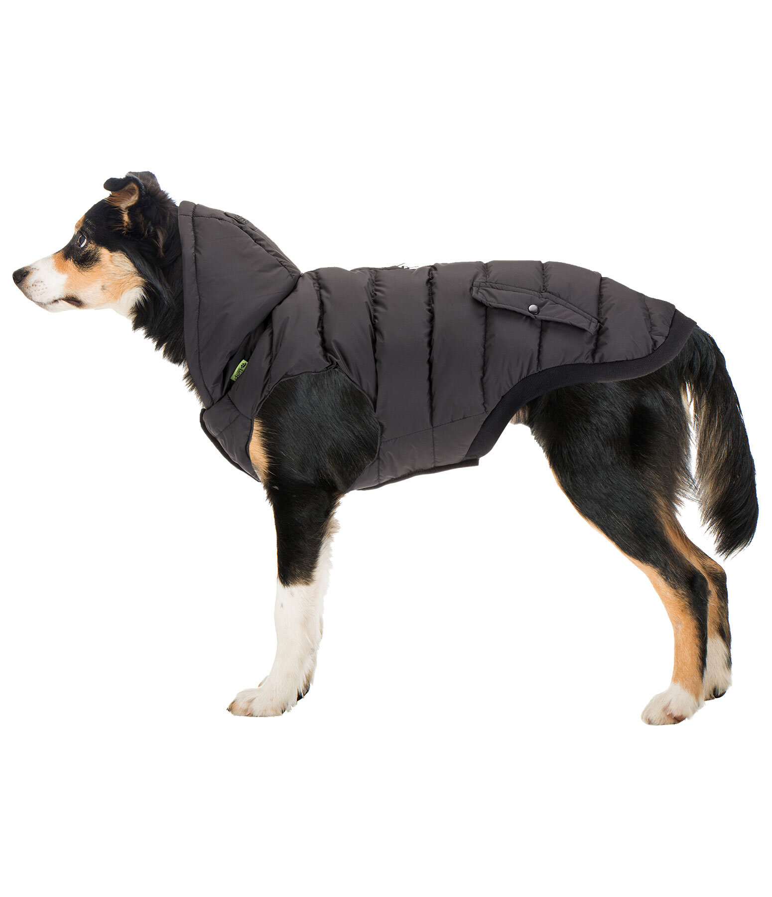 Hunde-Lightweight-Winterjacke Anton, 160 g