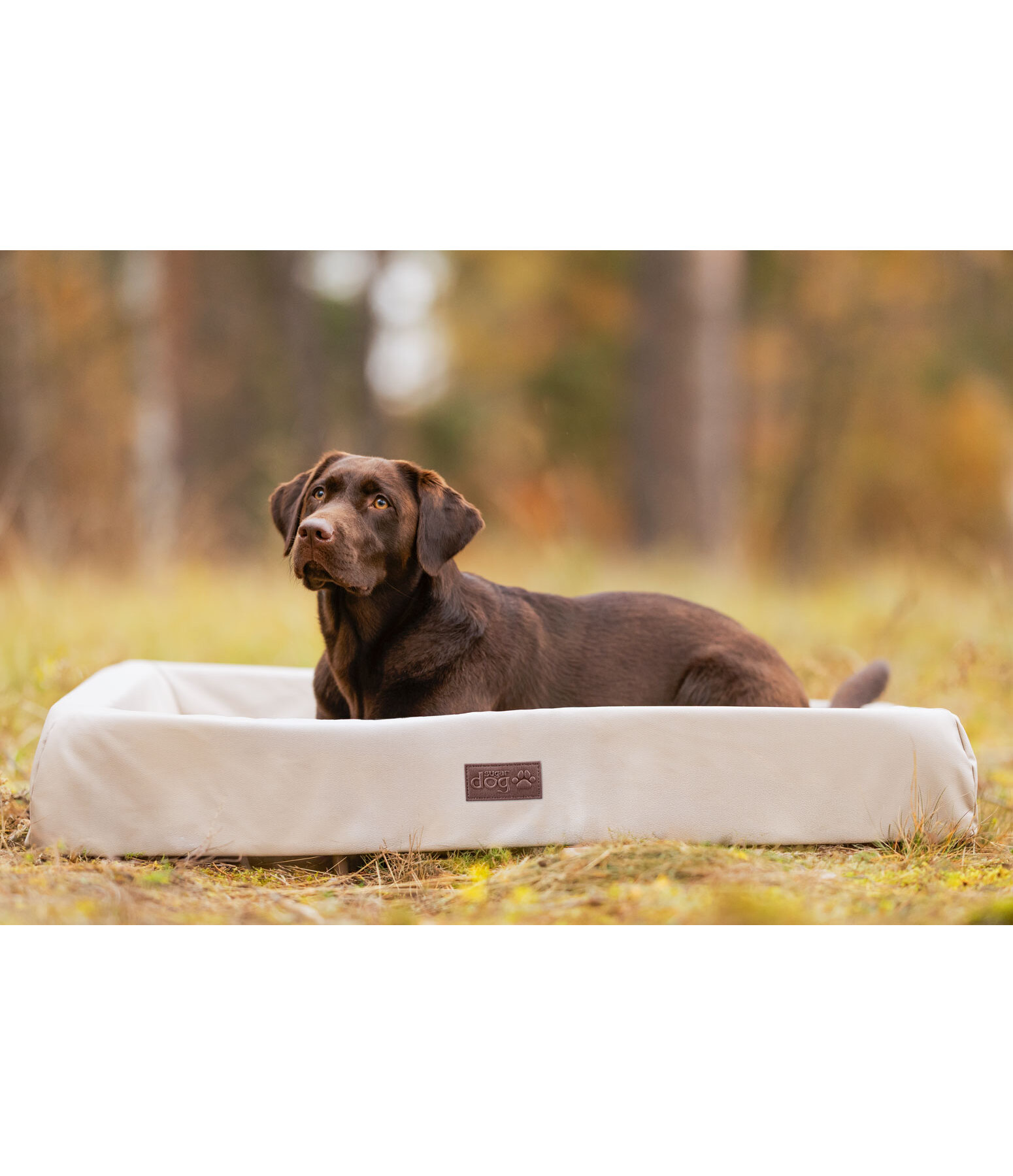 Hundebett Komet