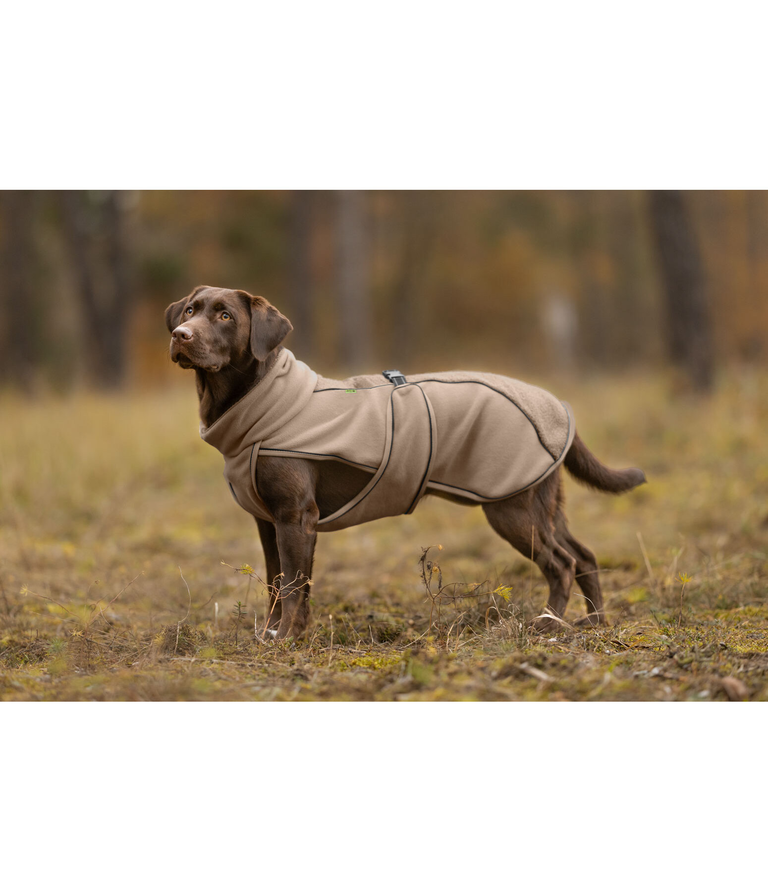 Teddyfleece Hundemantel Frido