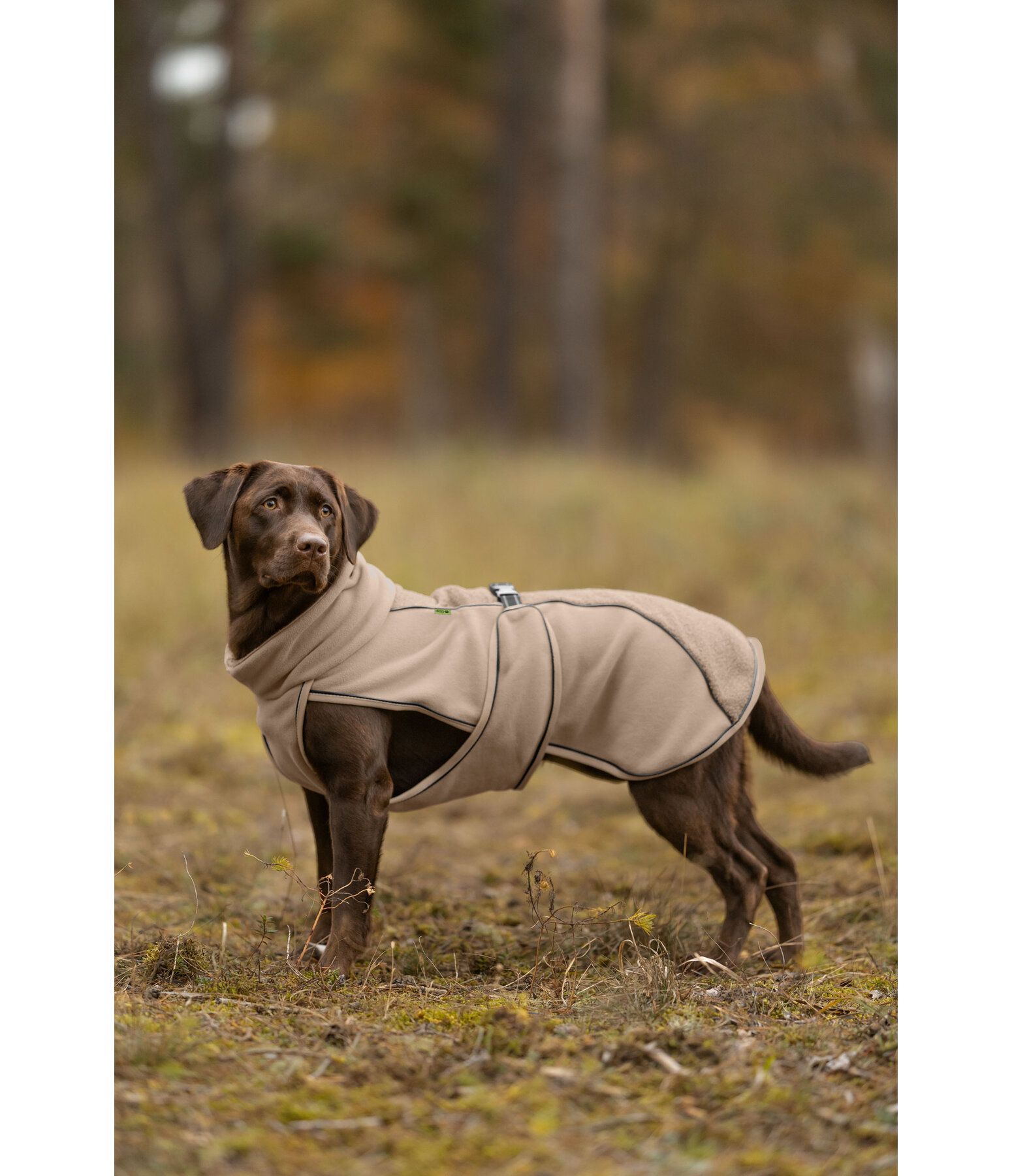 Teddyfleece Hundemantel Frido