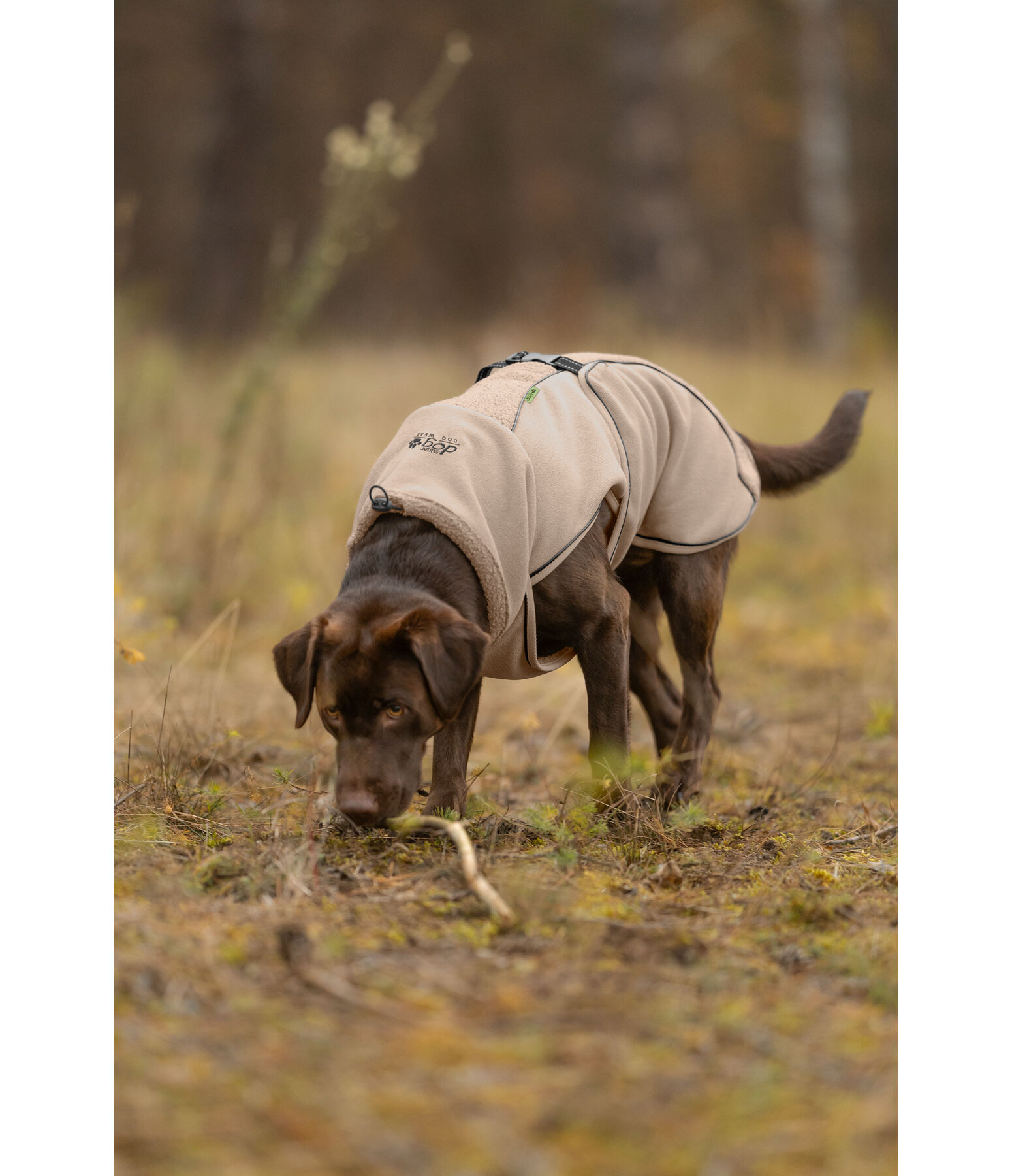 Teddyfleece Hundemantel Frido