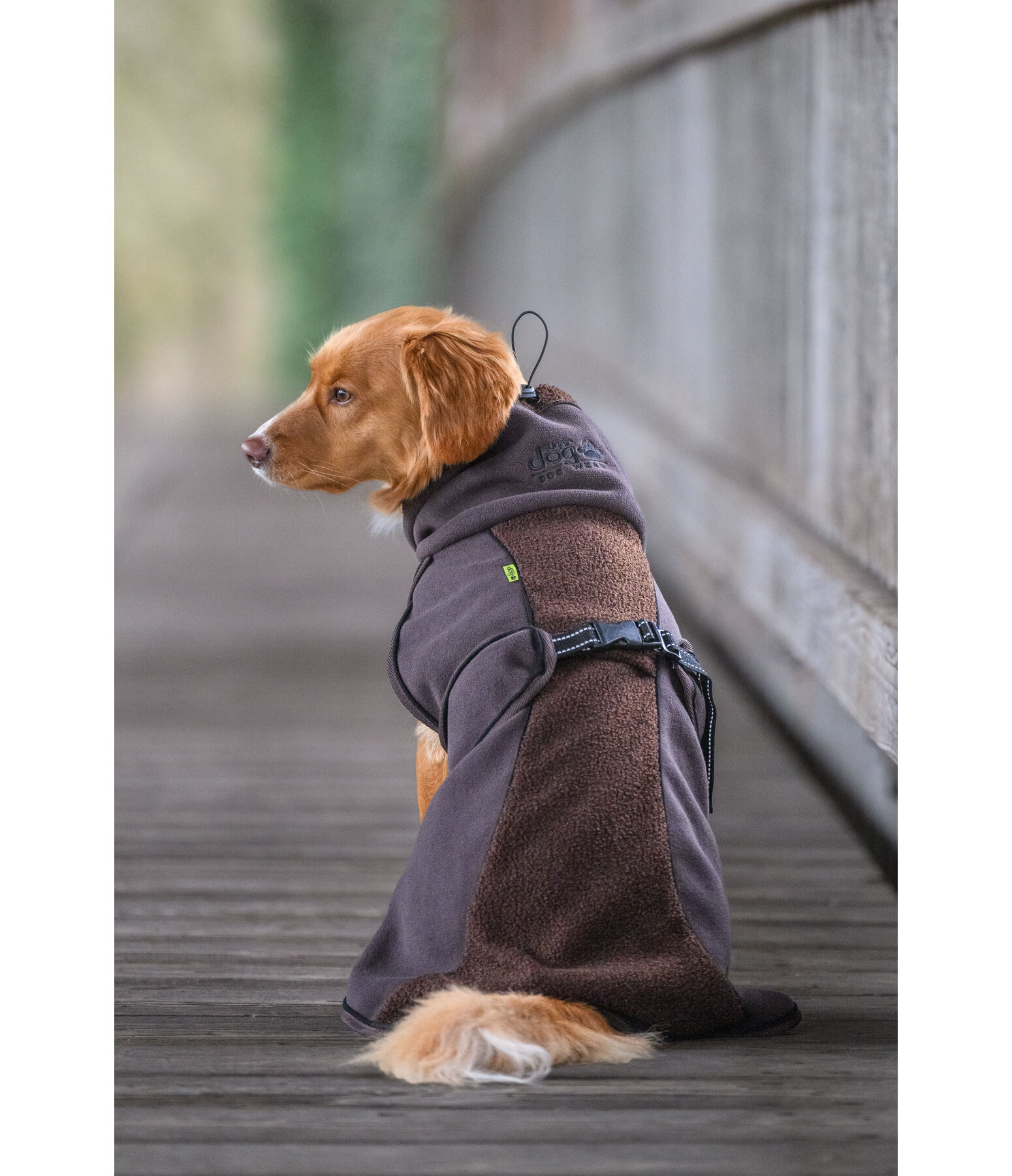 Teddyfleece Hundemantel Frido