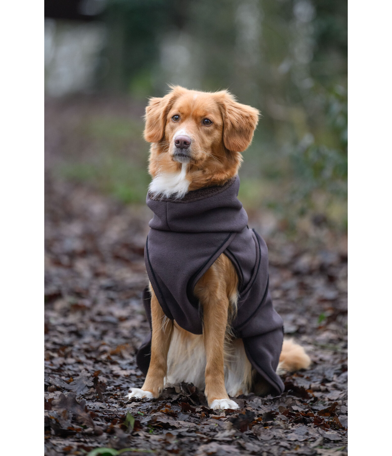 Teddyfleece Hundemantel Frido