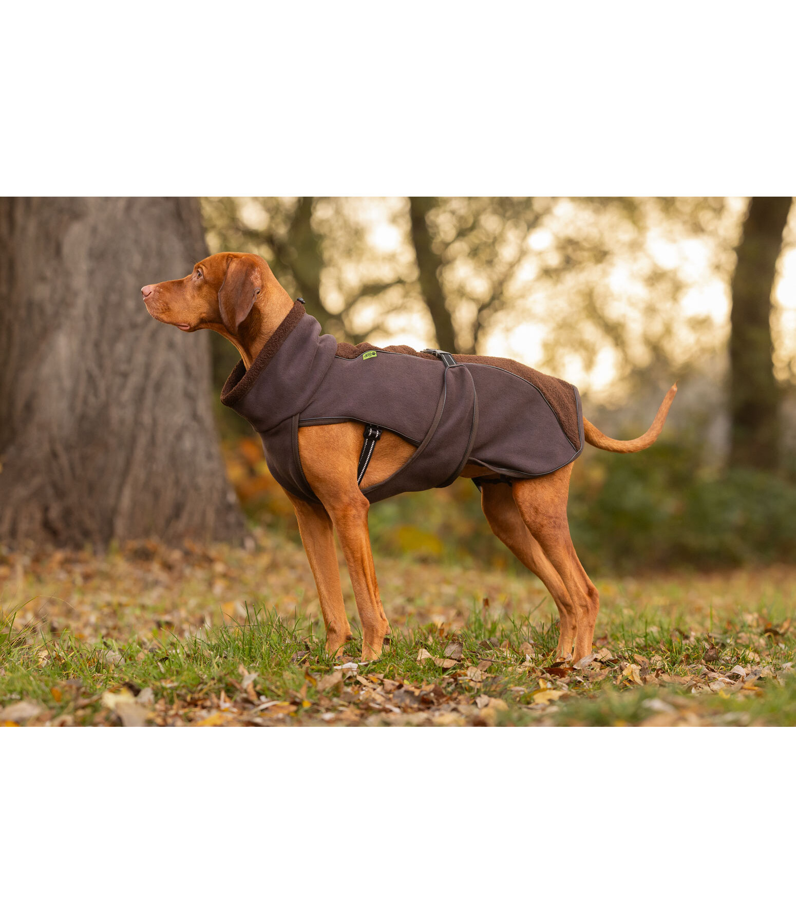 Teddyfleece Hundemantel Frido