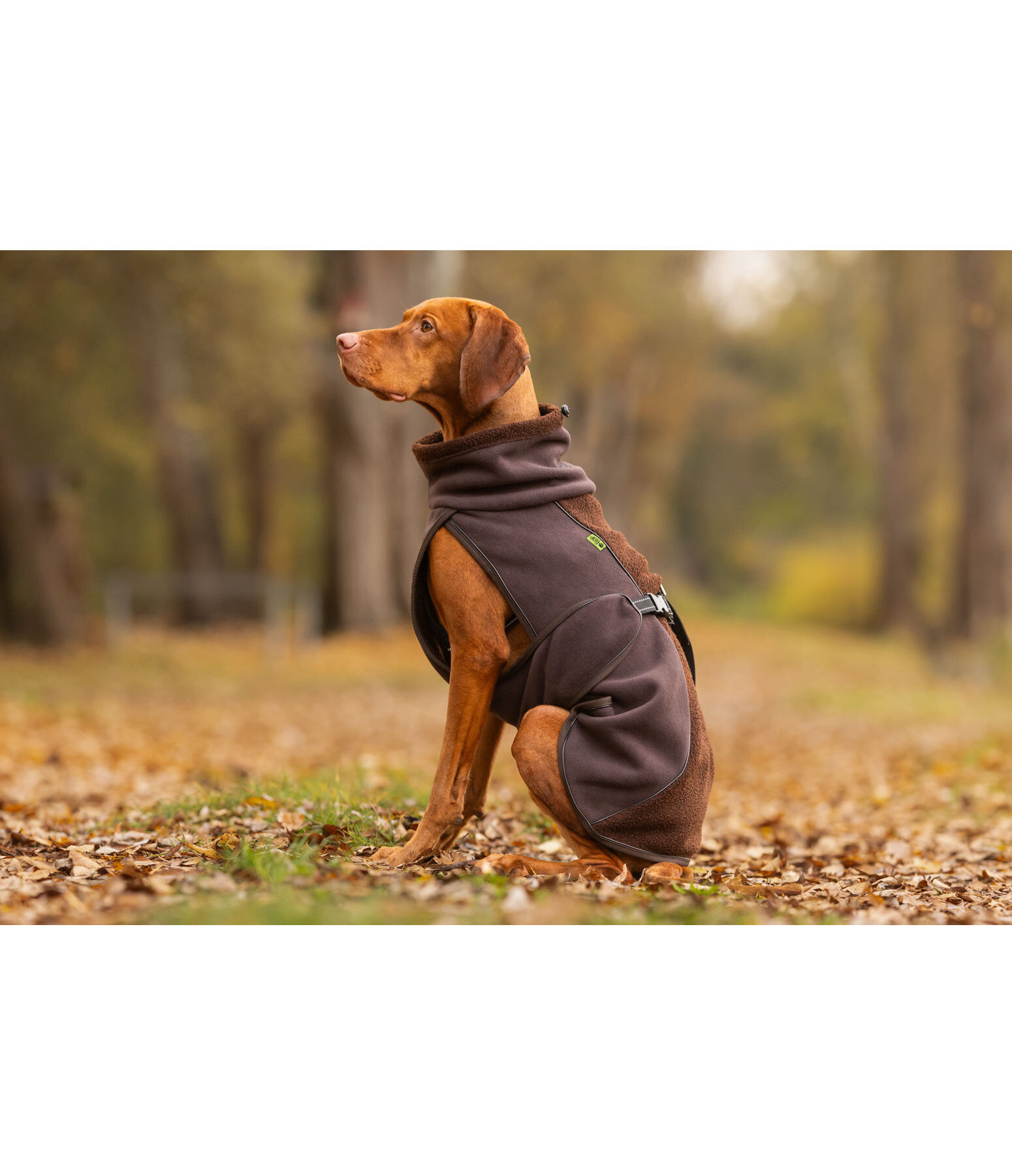 Teddyfleece Hundemantel Frido