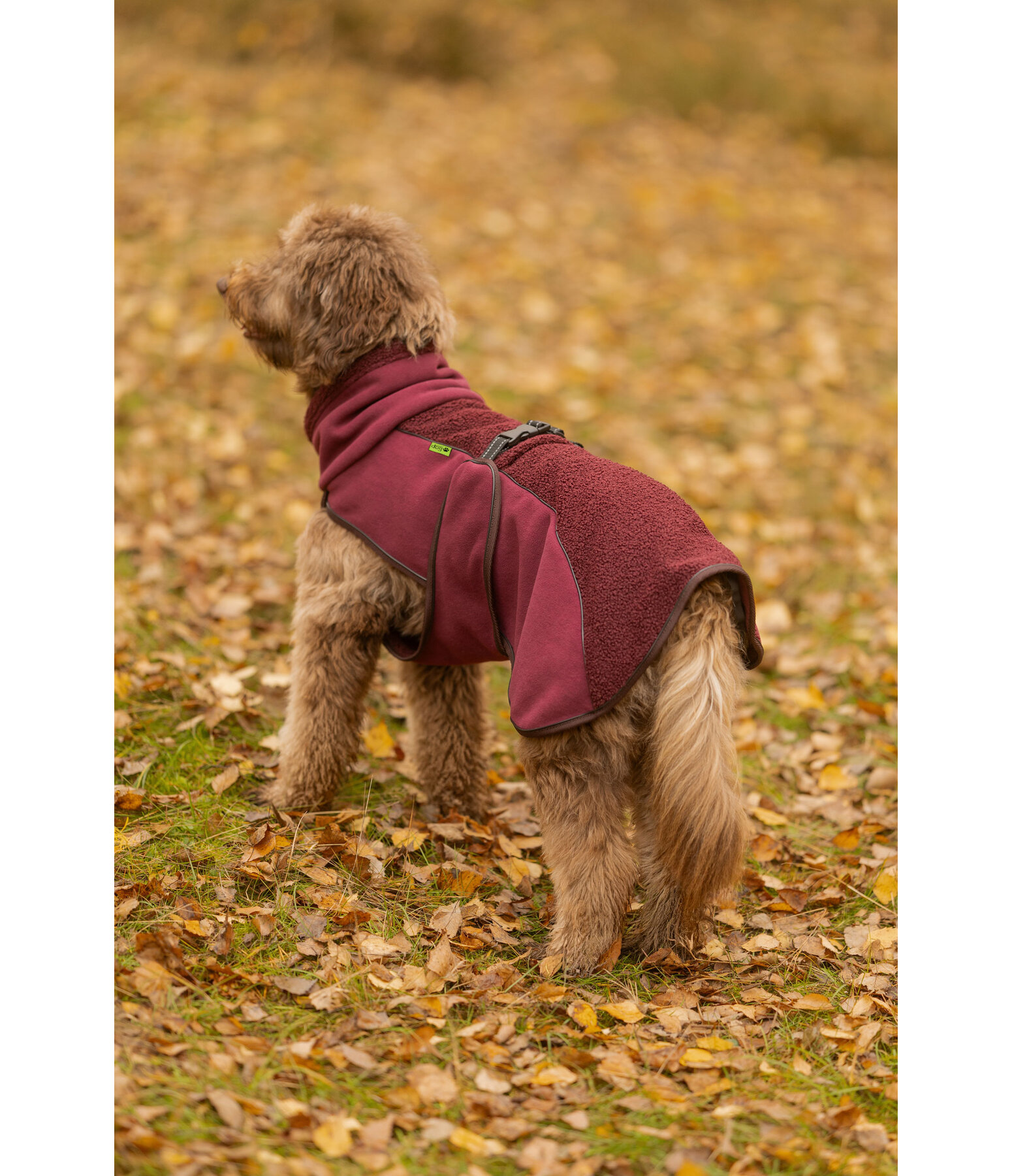 Teddyfleece Hundemantel Frido