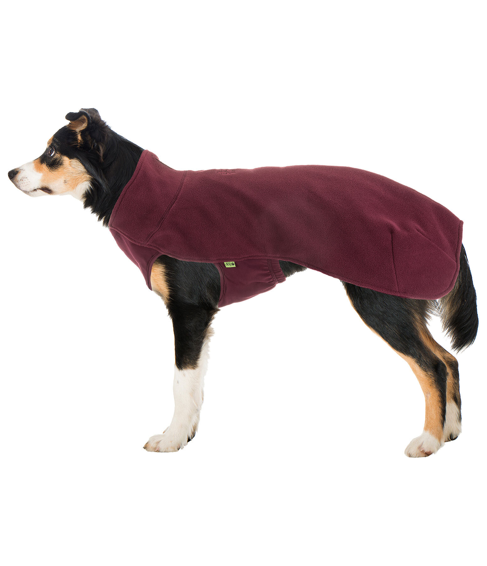 Hunde-Unterzieh- und Fleecepullover Basic
