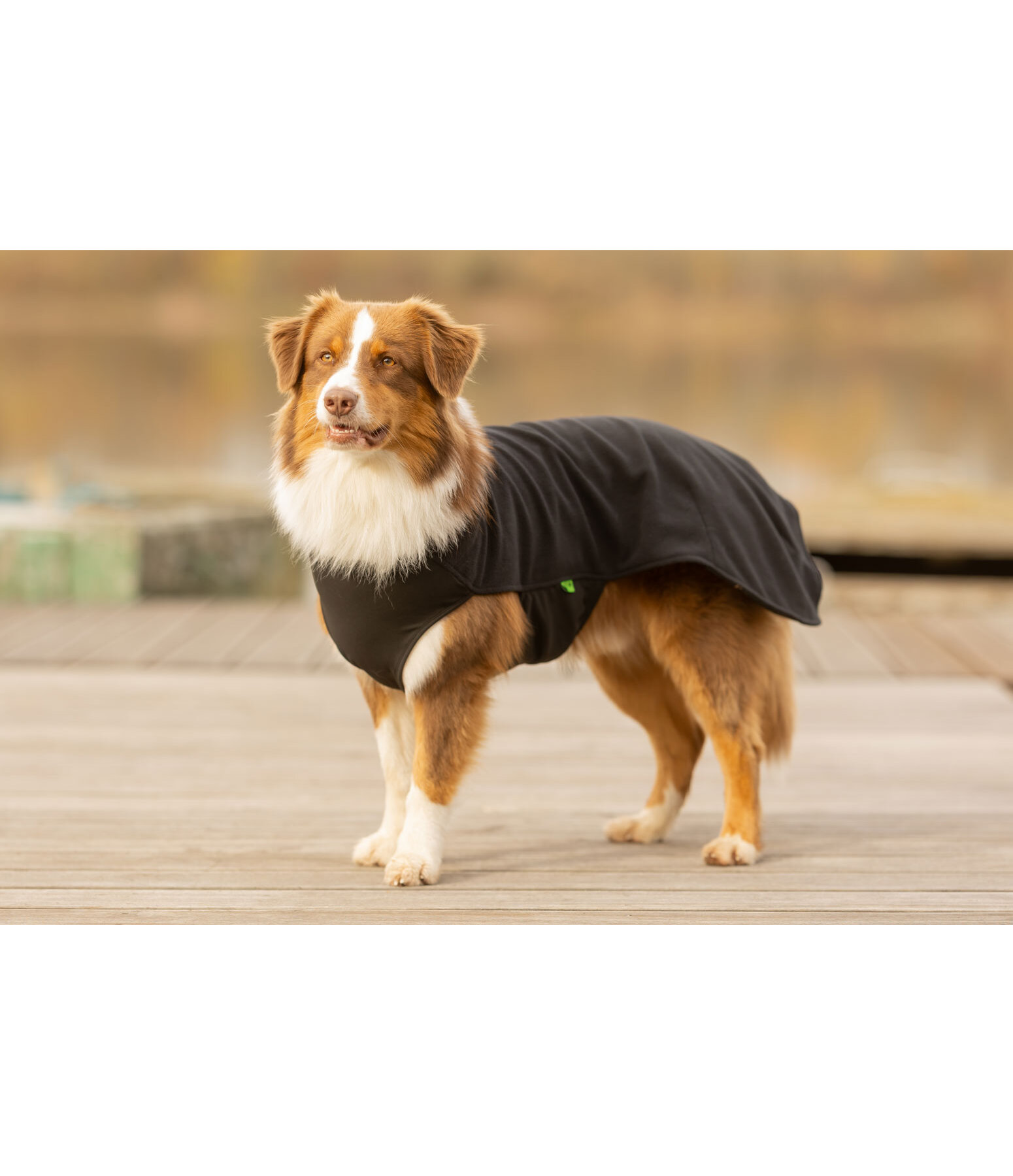 Hunde-Unterzieh- und Fleecepullover Basic