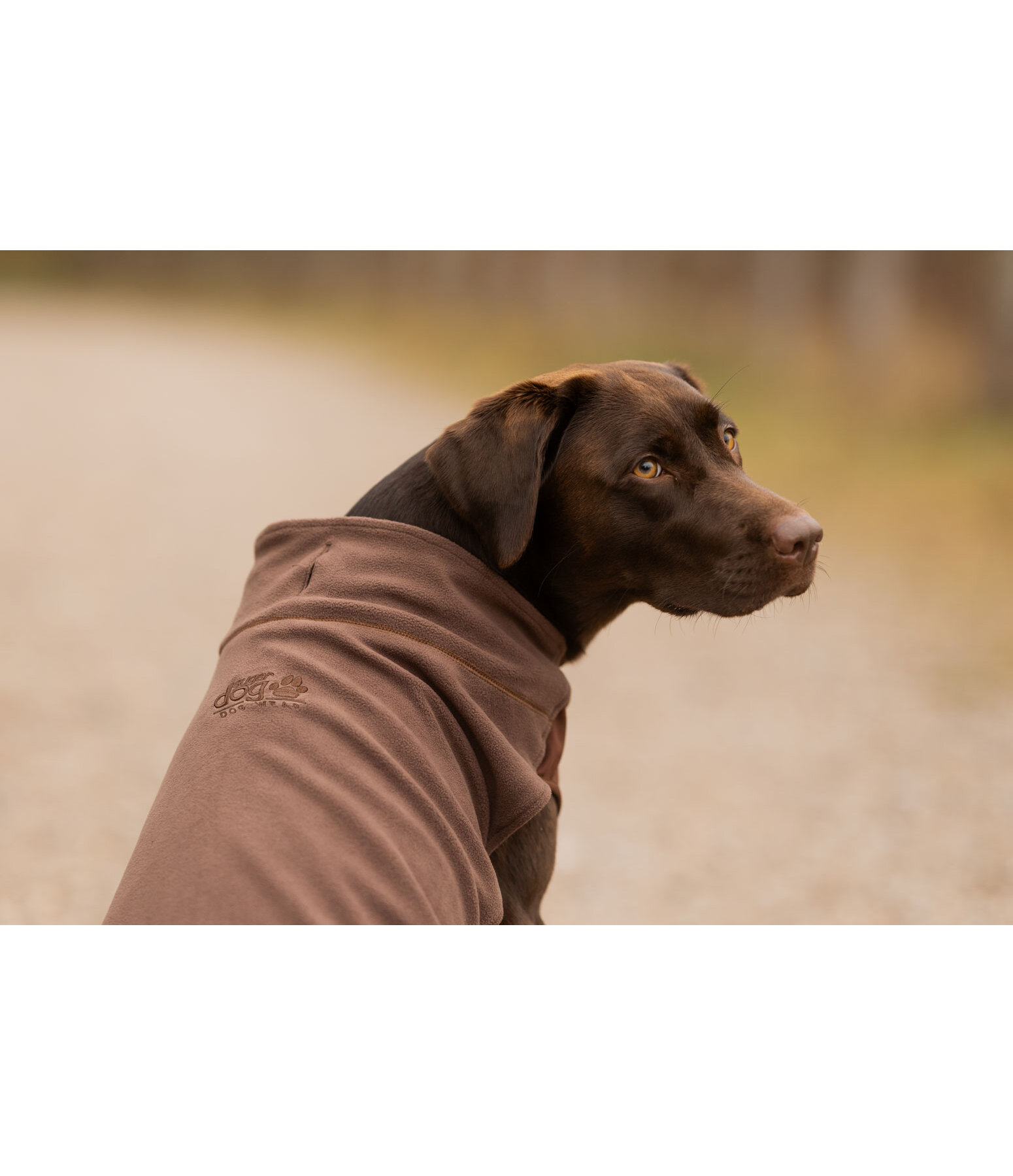 Hunde-Unterzieh- und Fleecepullover Basic