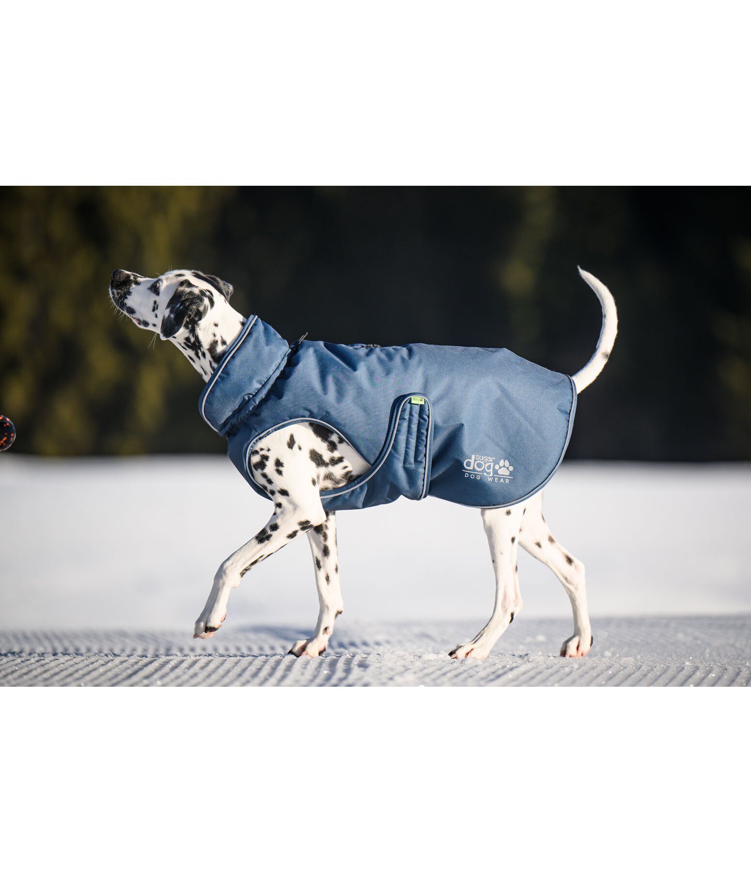 Winter-Hundemantel Archie Snow Drift, 200 g