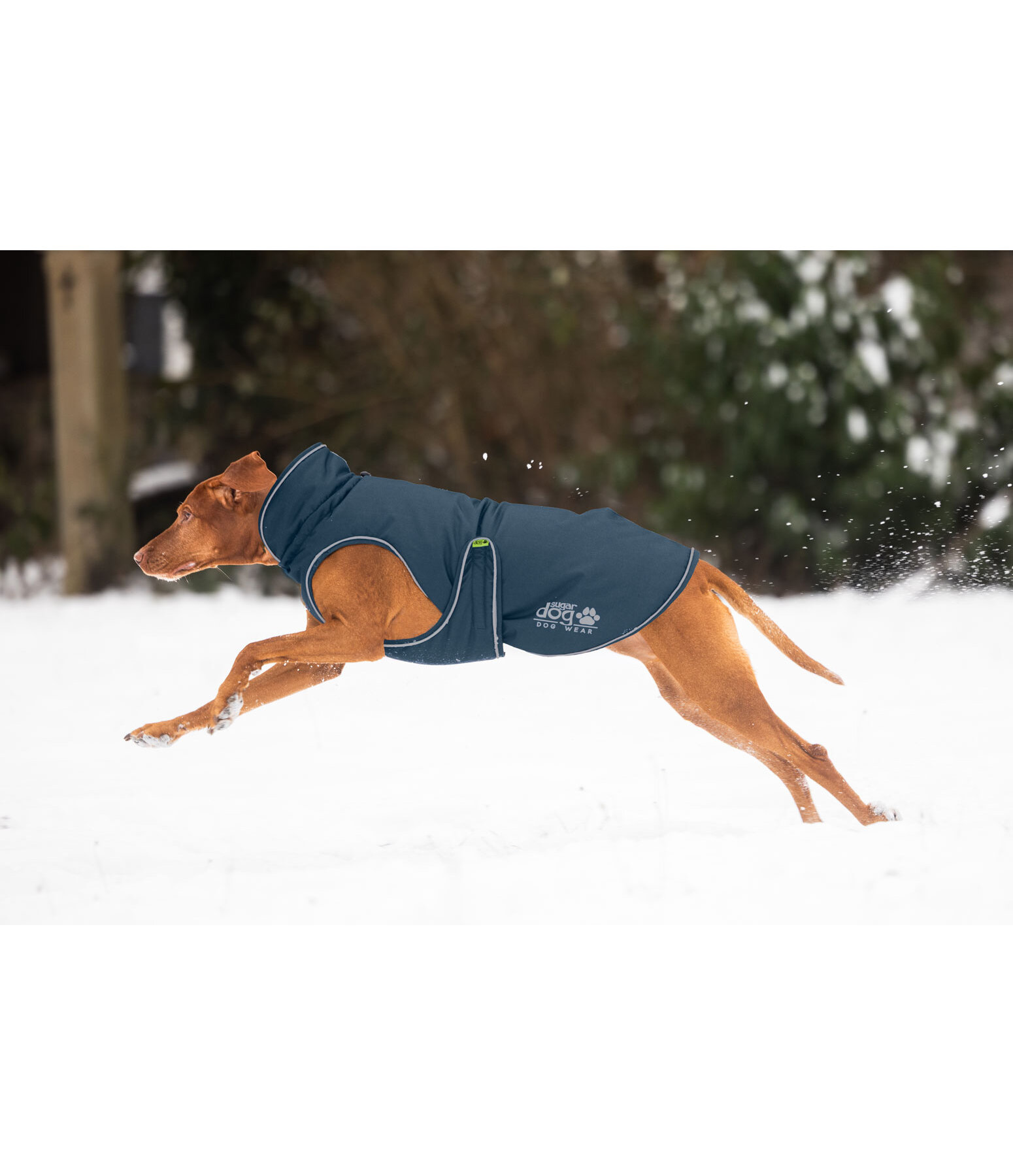 Winter-Hundemantel Archie Snow Drift, 200 g