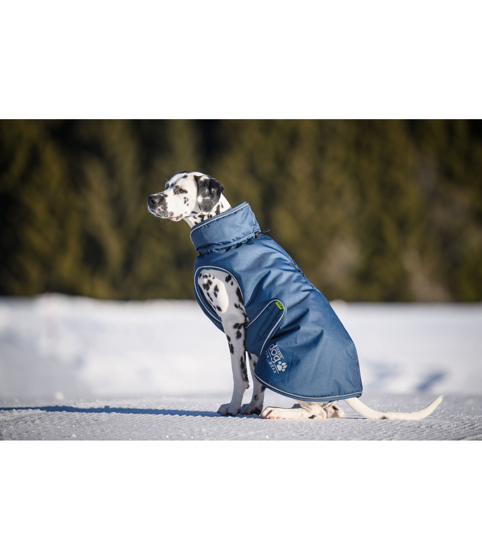Winter-Hundemantel Archie Snow Drift, 200 g