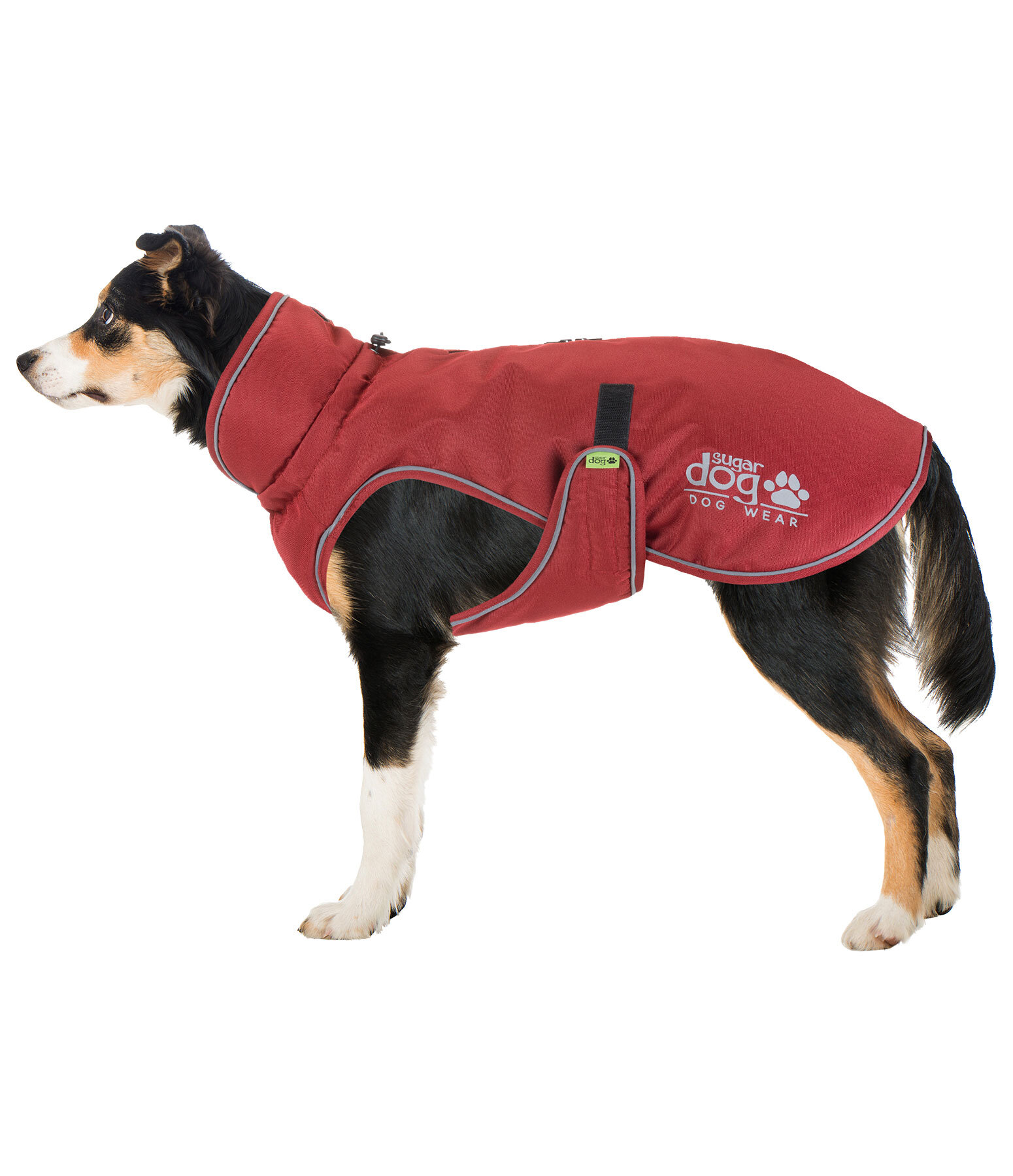 Winter-Hundemantel Archie Snow Drift, 200 g
