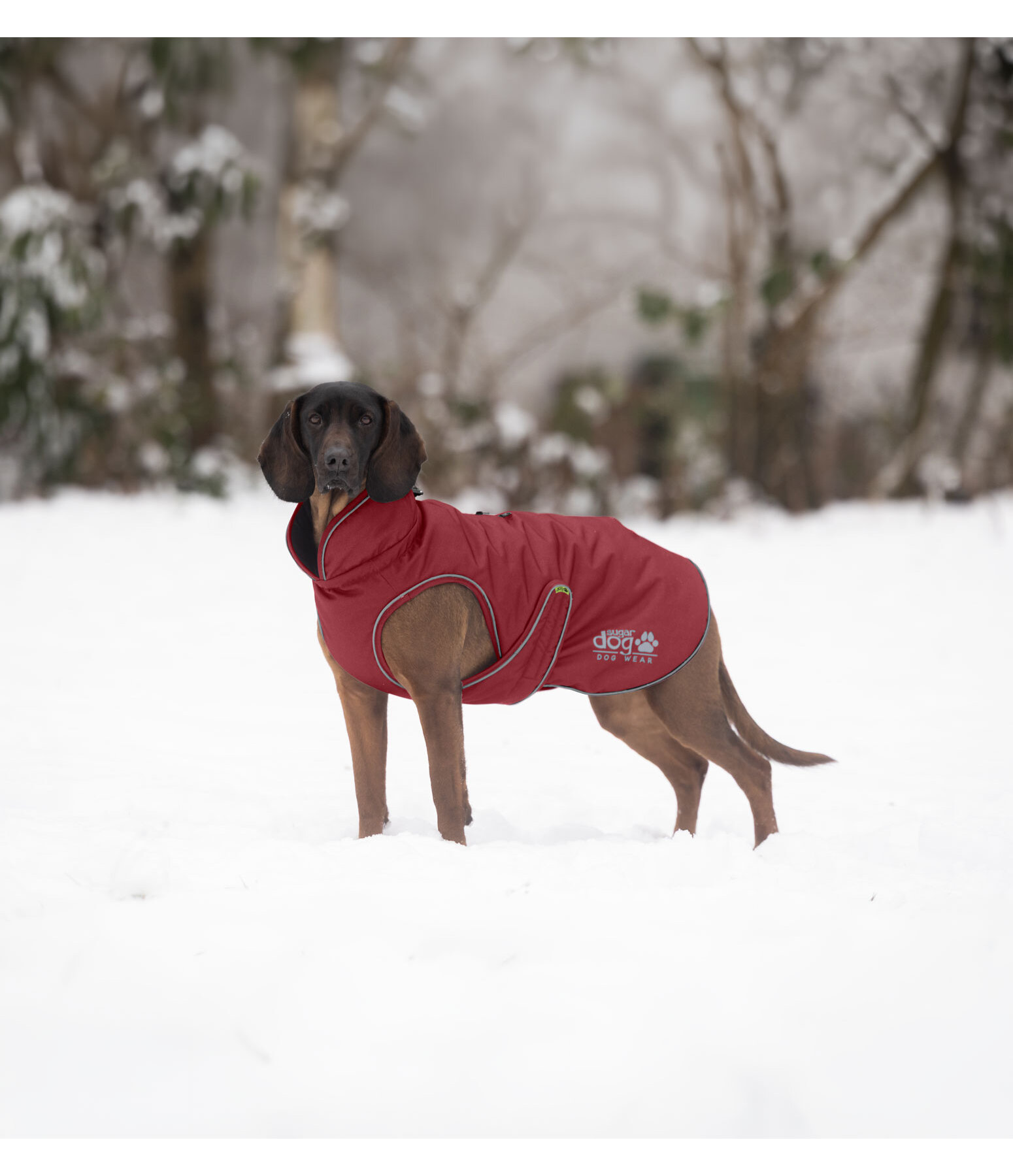 Winter-Hundemantel Archie Snow Drift, 200 g