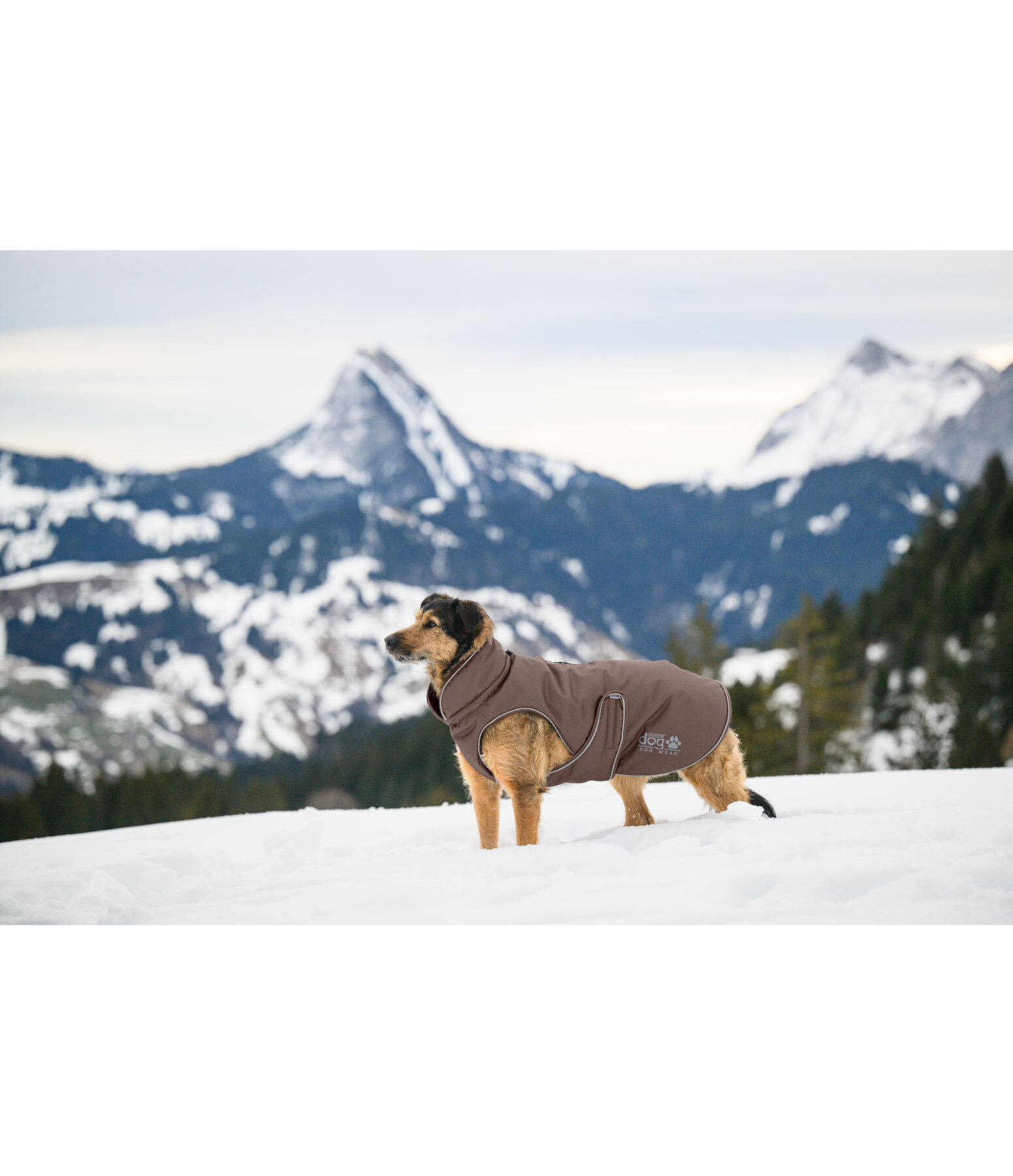 Winter-Hundemantel Archie Snow Drift, 200 g