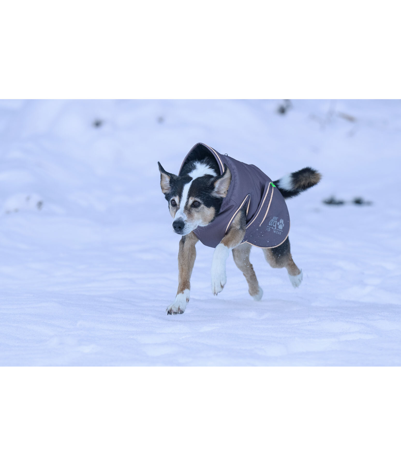Winter-Hundemantel Archie Snow Drift, 200 g