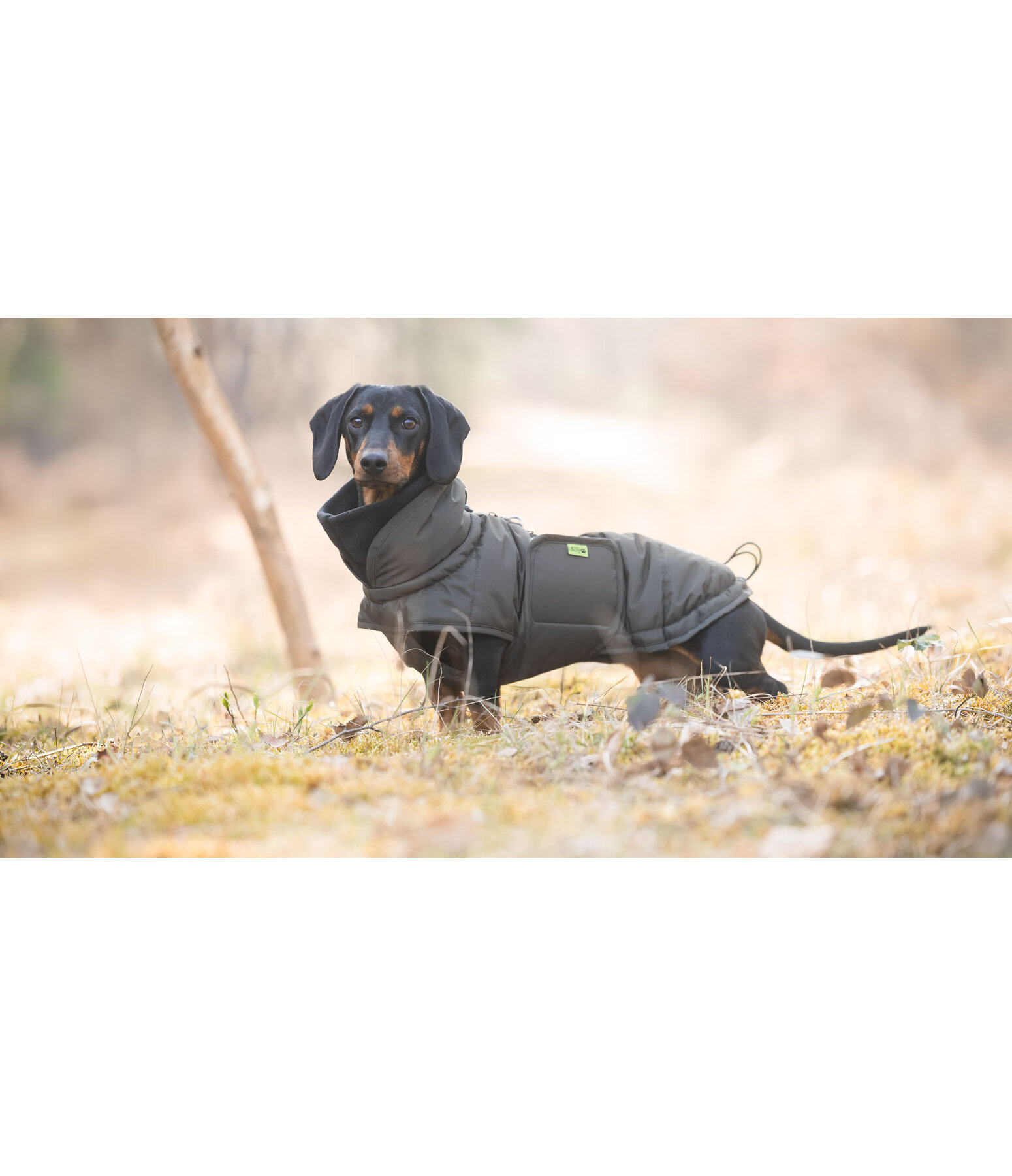 Dackel Wintermantel Henry, 200 g