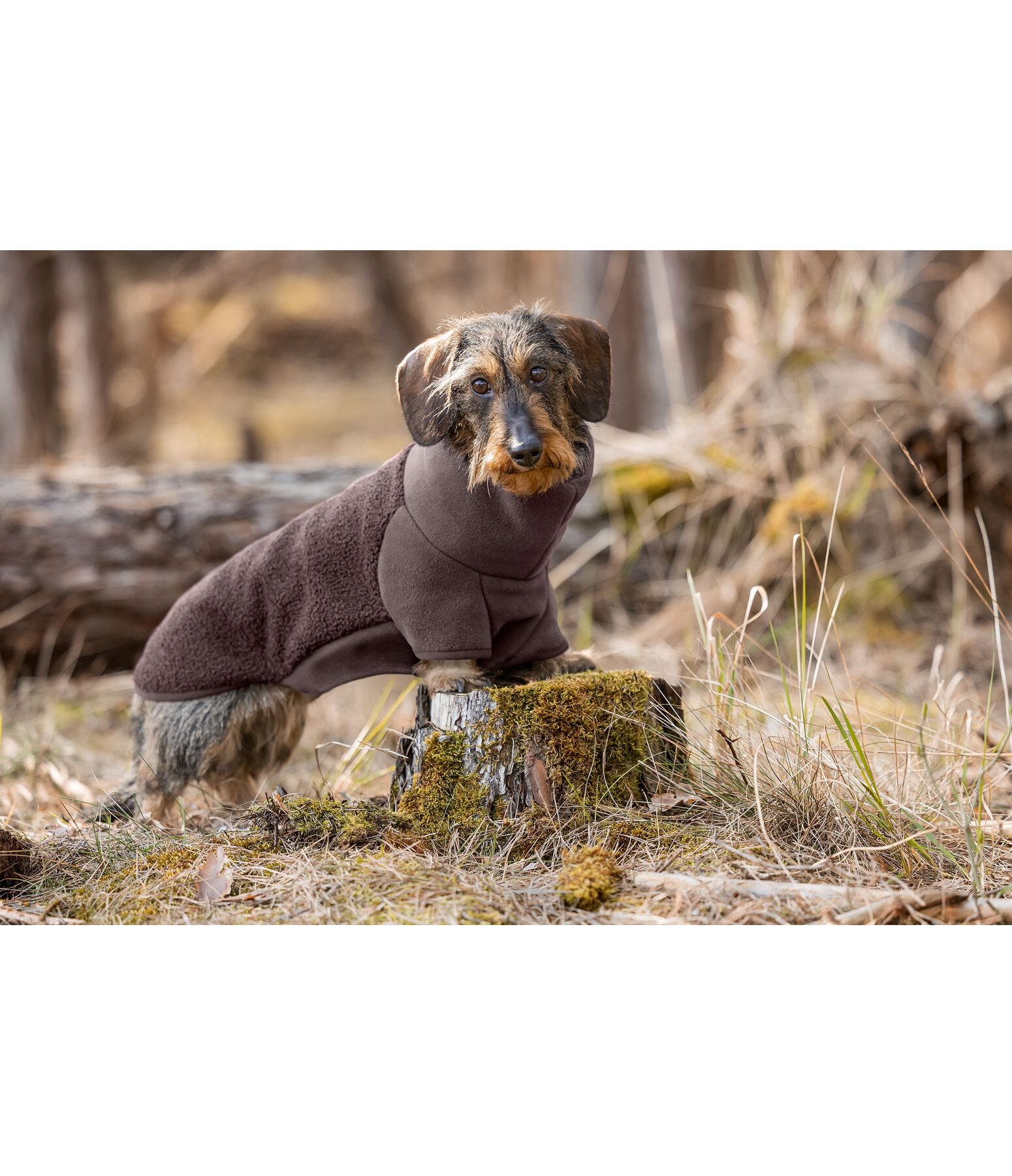Dackel Fleecepullover Edward