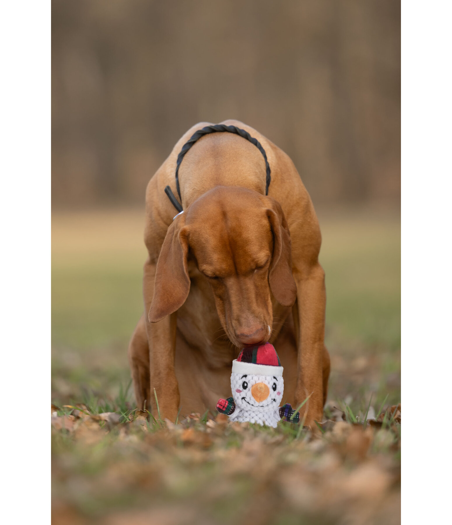 Hundespielzeug Schneemann
