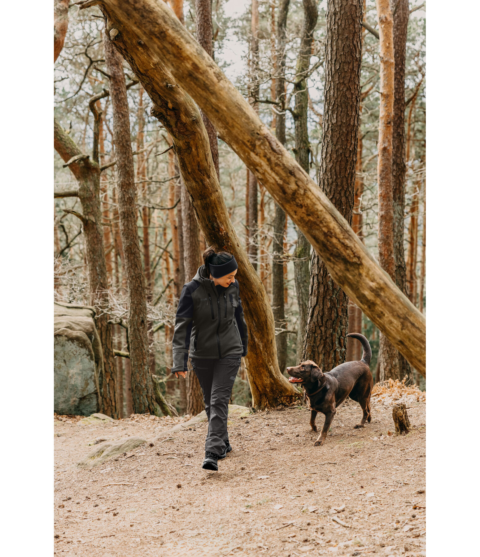 Funktions-Softshelljacke 2-in-1 Stonepeak