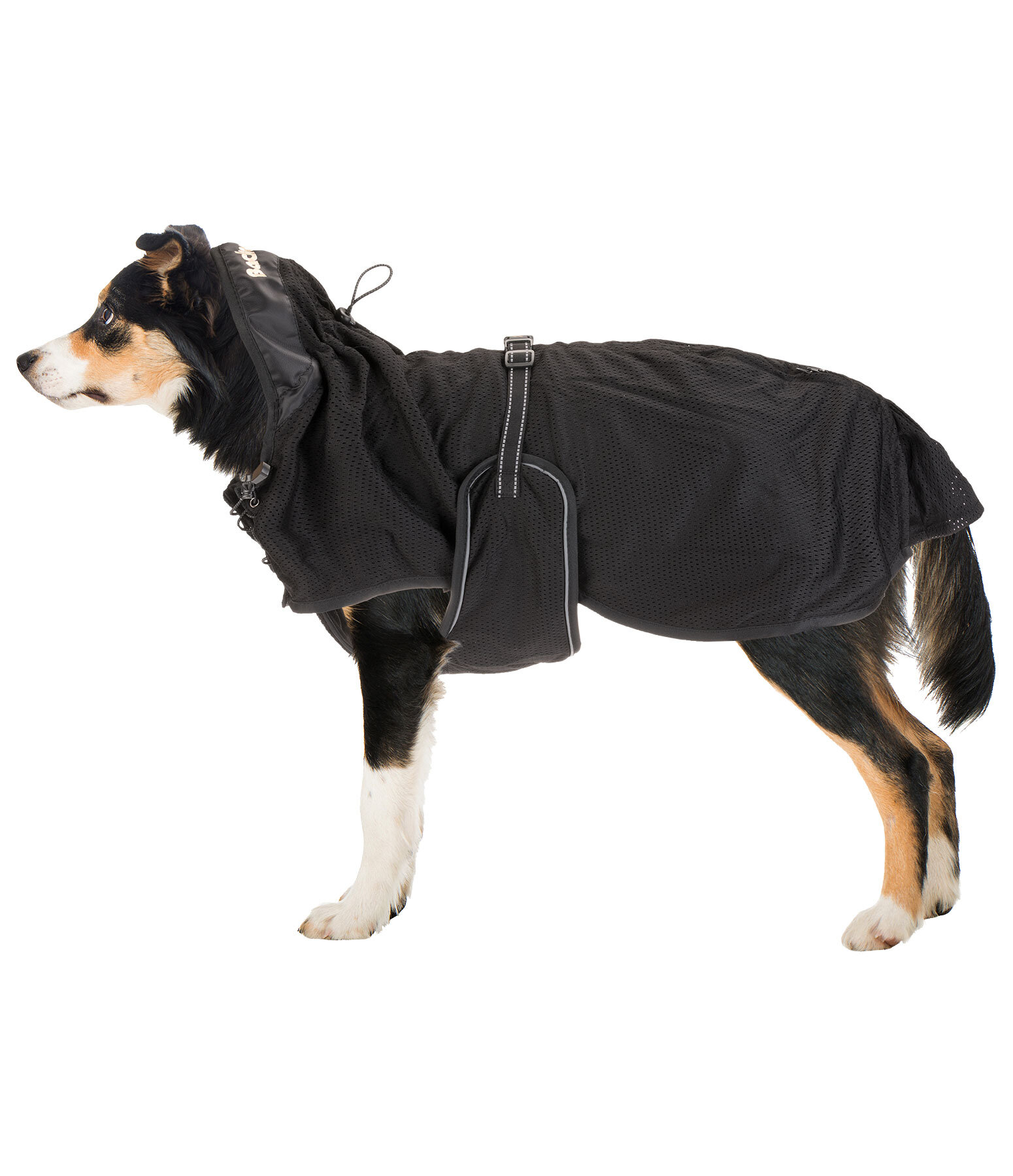Mesh-Hundemantel