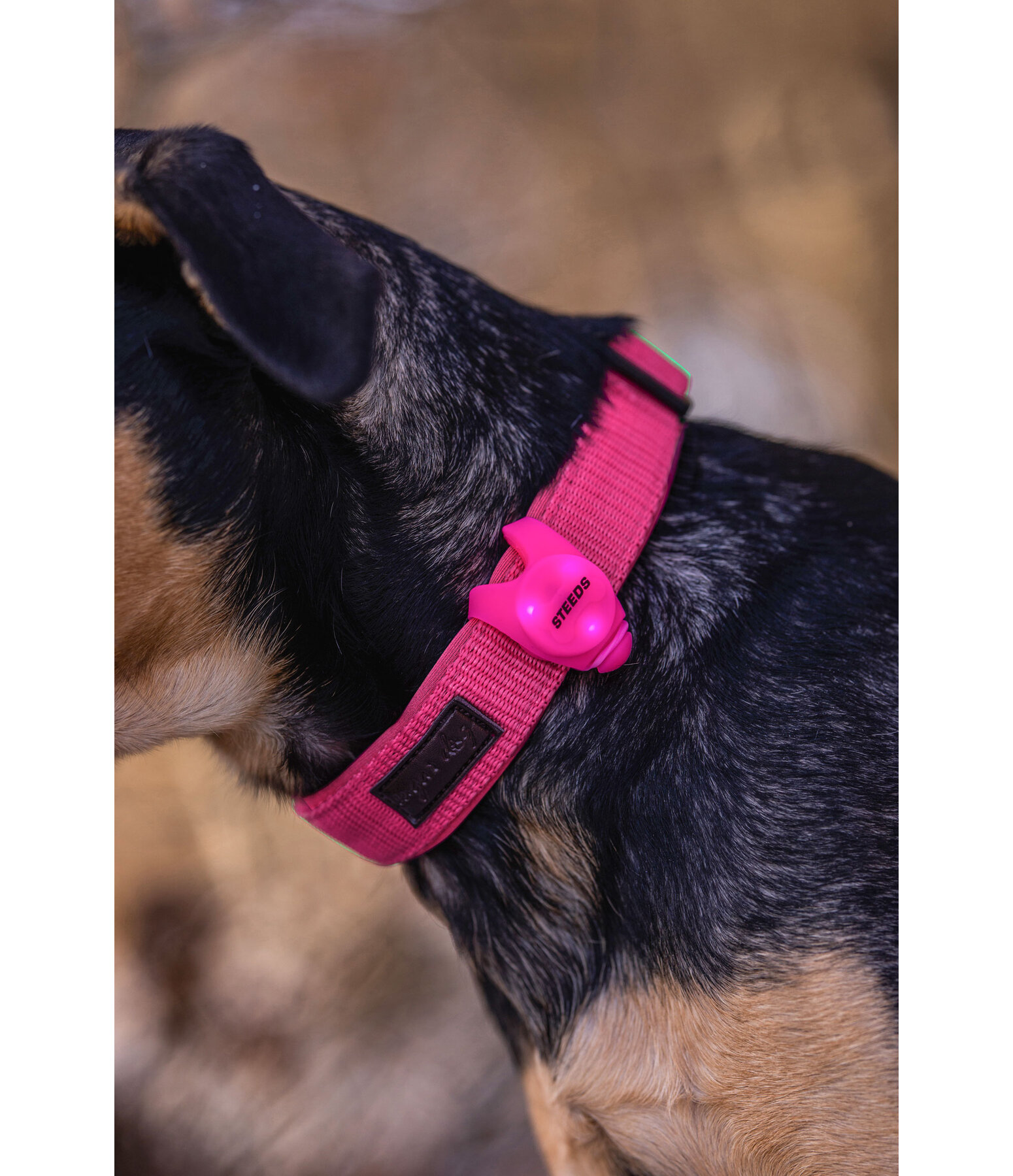 Silikon-LED-Anh�nger Flash