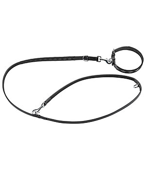 sugar dog Set: Leder-Hundehalsband und -leine Polo Sports - 230926